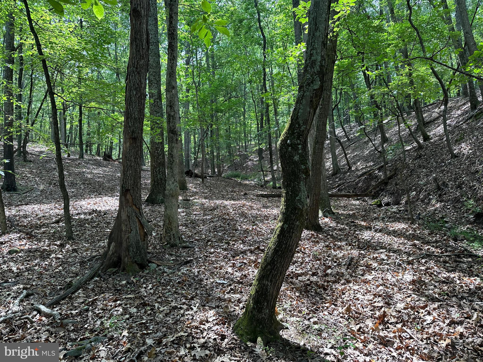 NONE AVAILABLE - Land