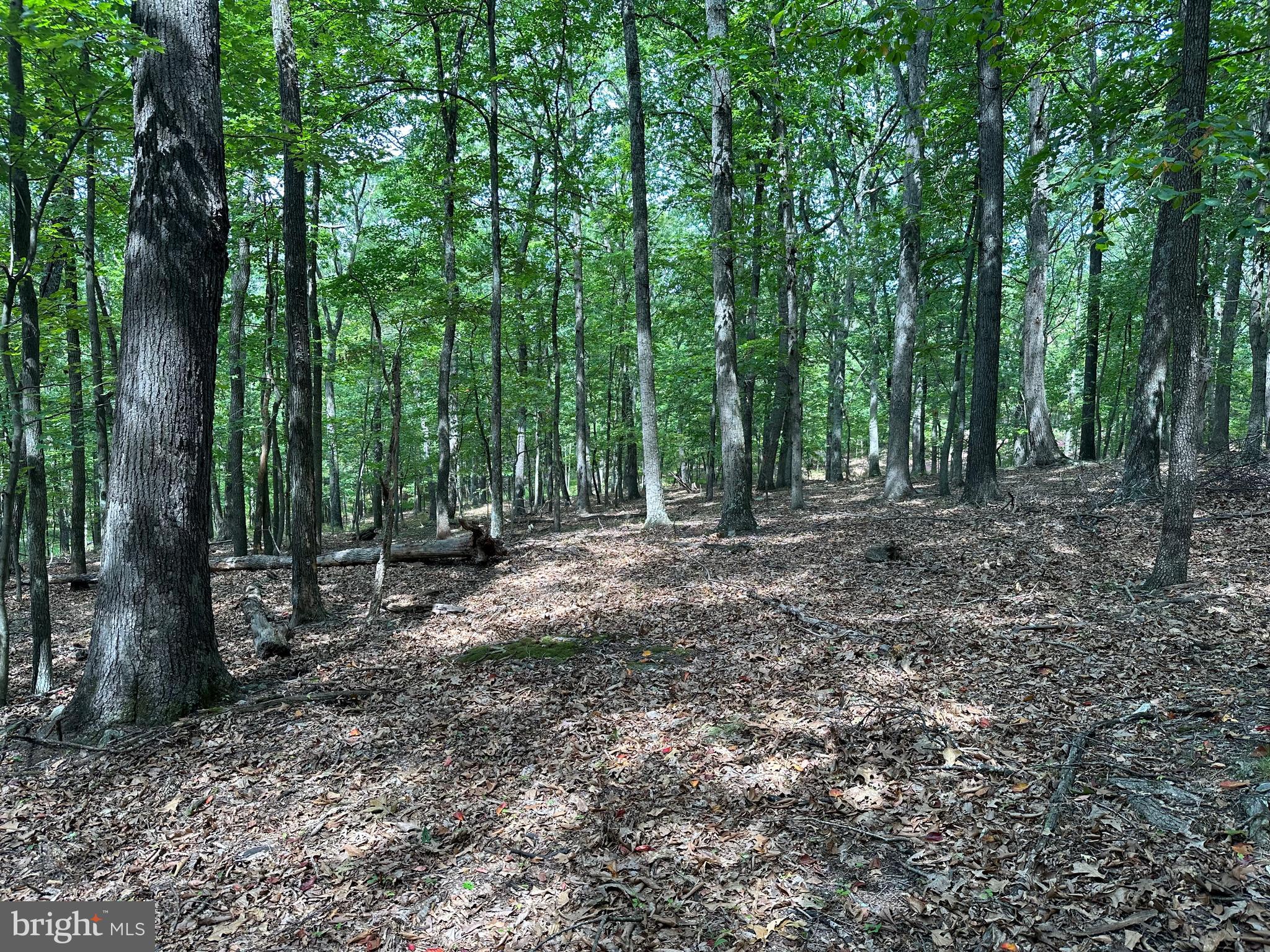 NONE AVAILABLE - Land