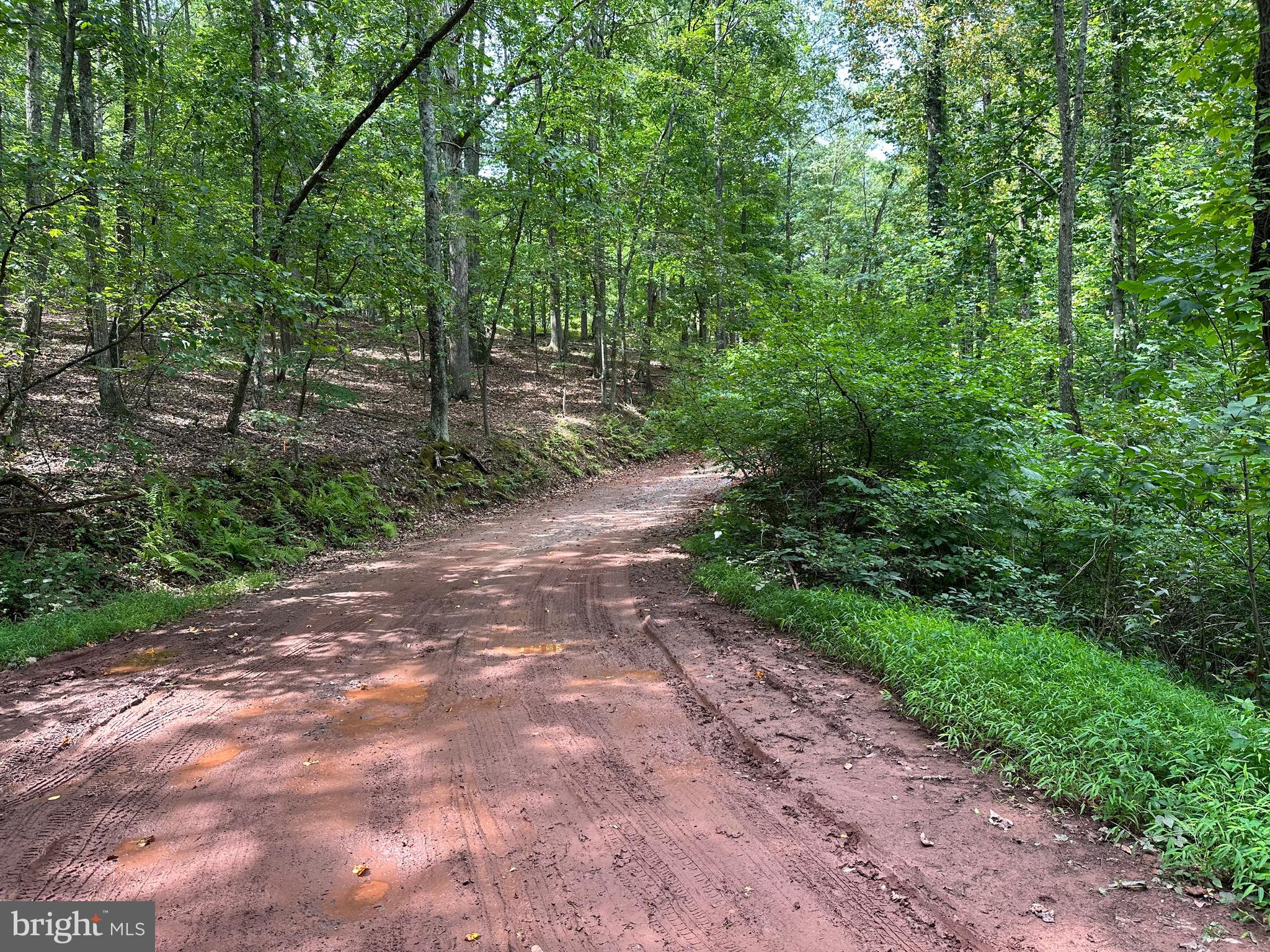 NONE AVAILABLE - Land