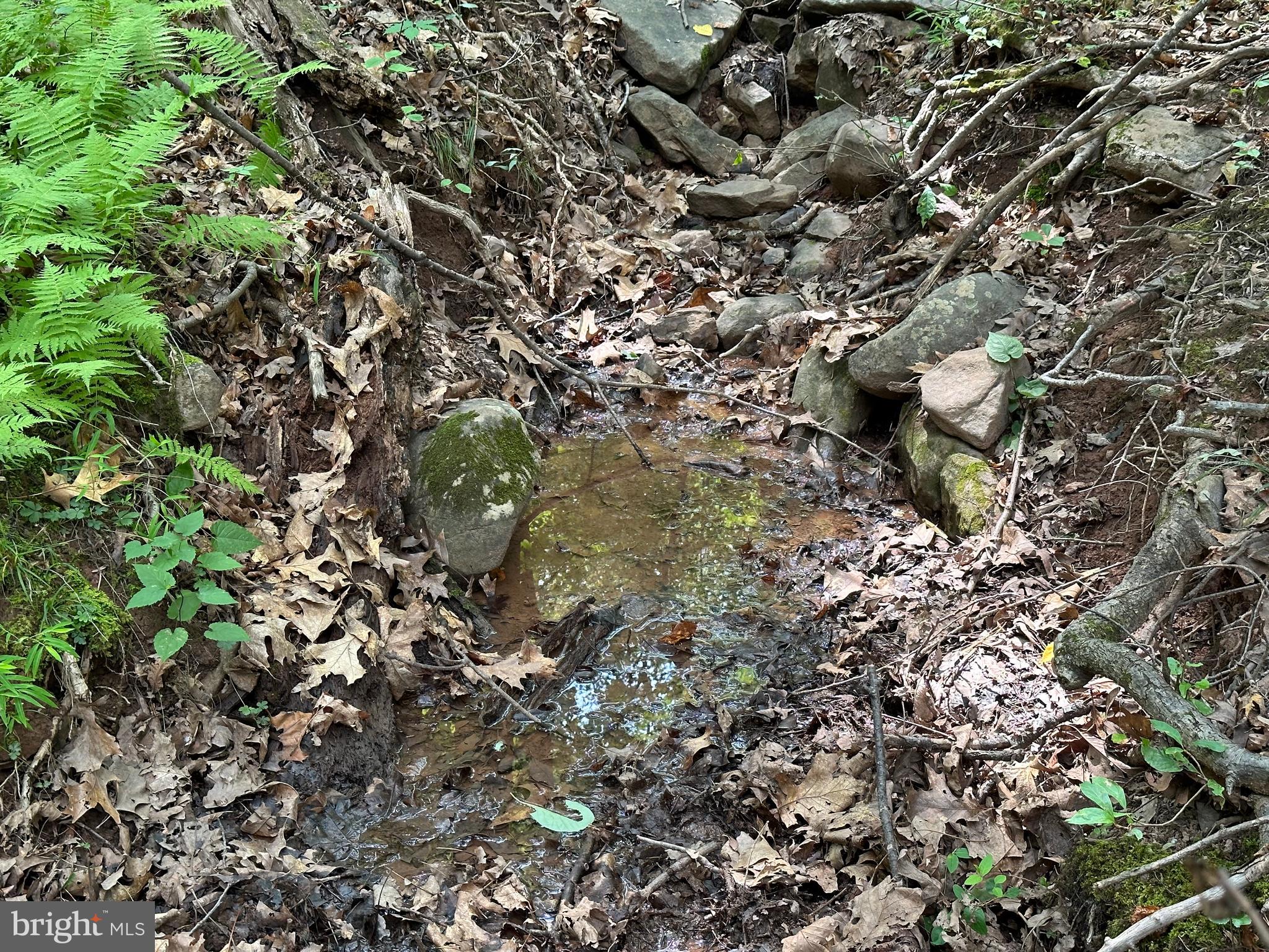 NONE AVAILABLE - Land