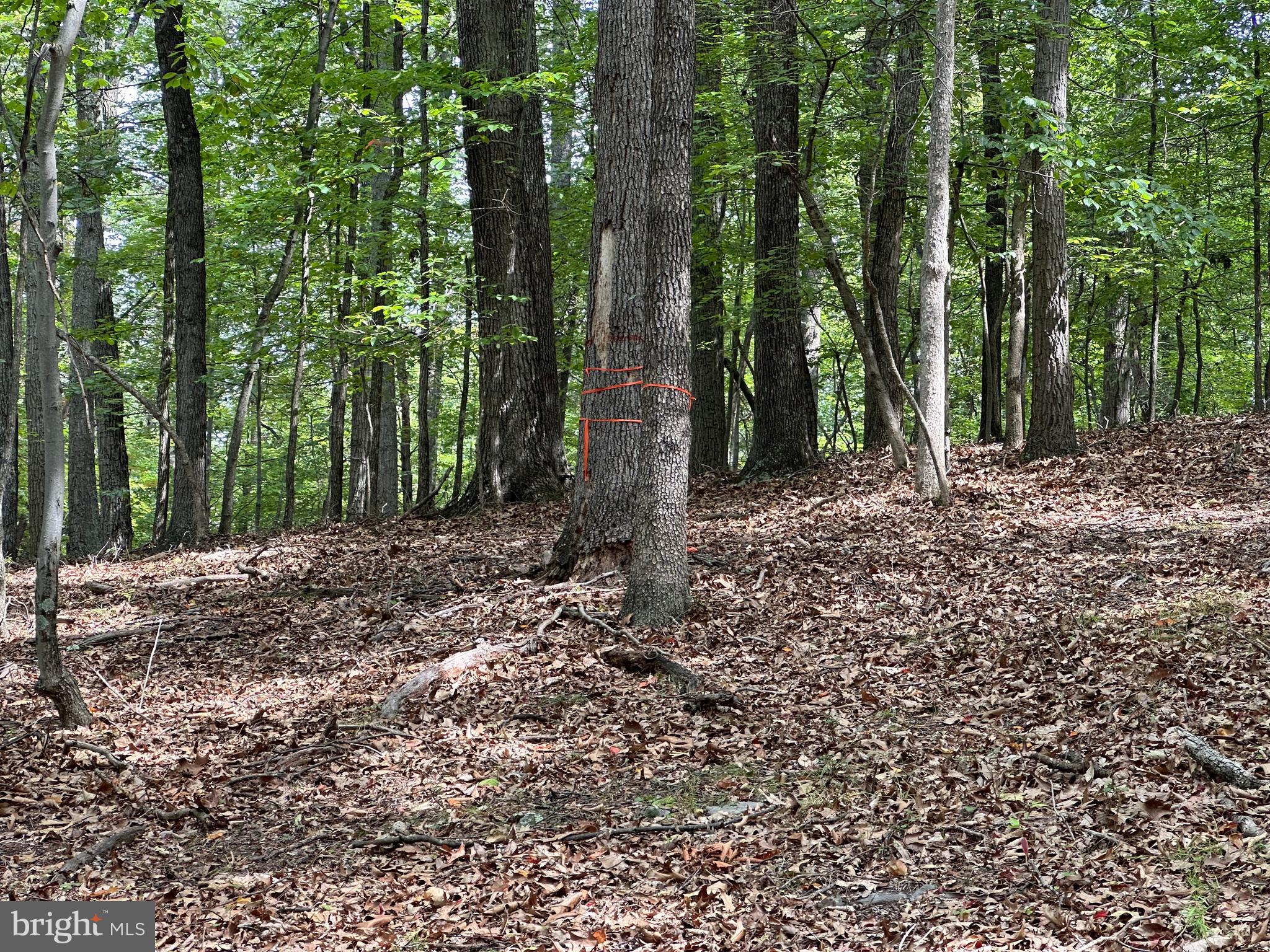 NONE AVAILABLE - Land