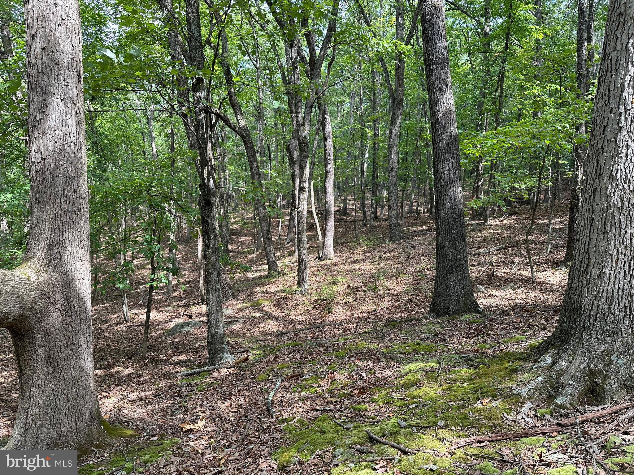 NONE AVAILABLE - Land