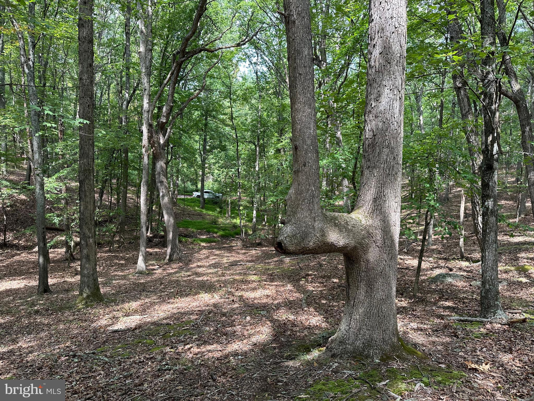 NONE AVAILABLE - Land