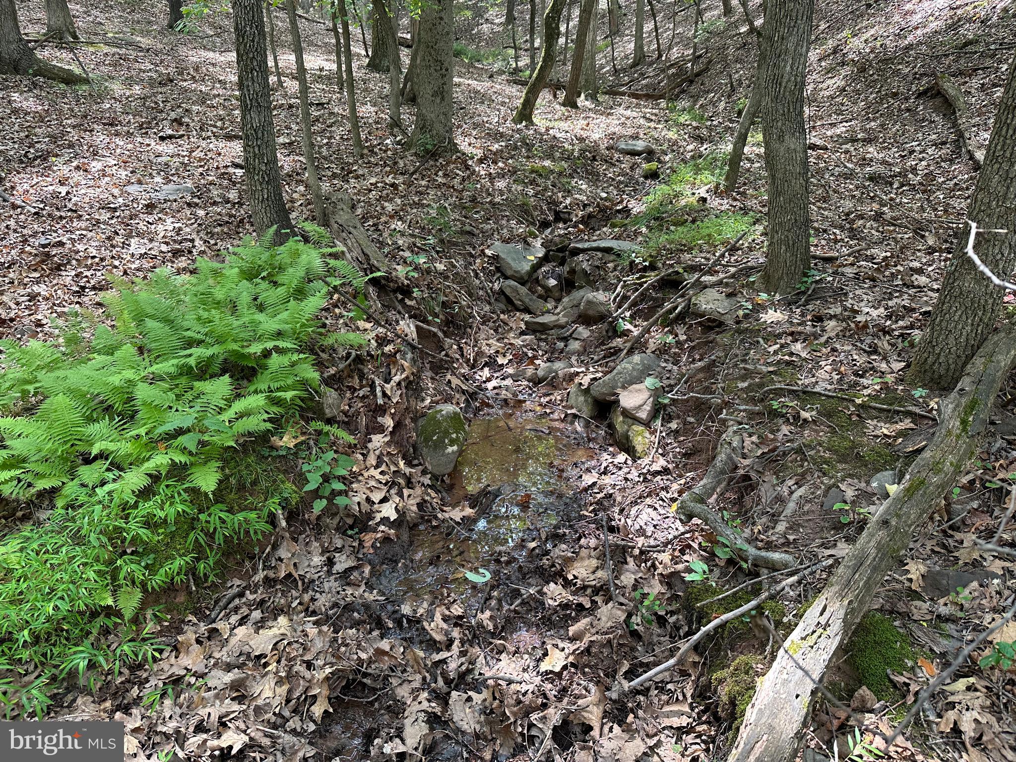 NONE AVAILABLE - Land