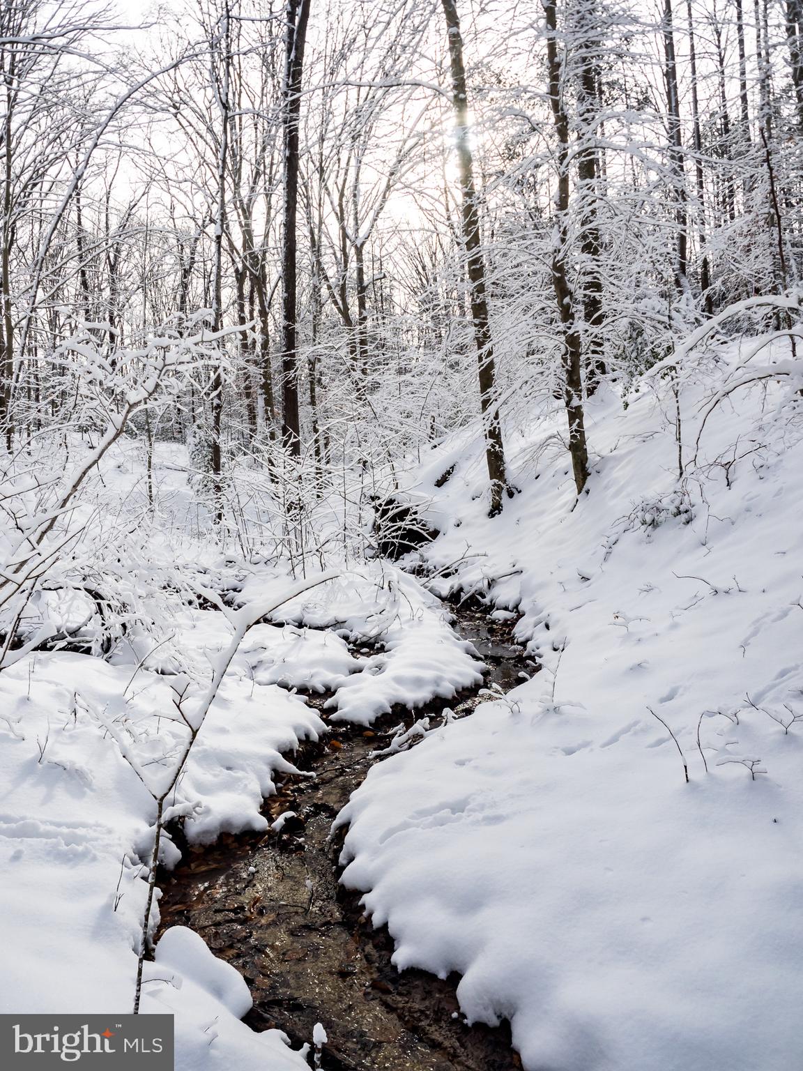 BEN OAKS - Residential