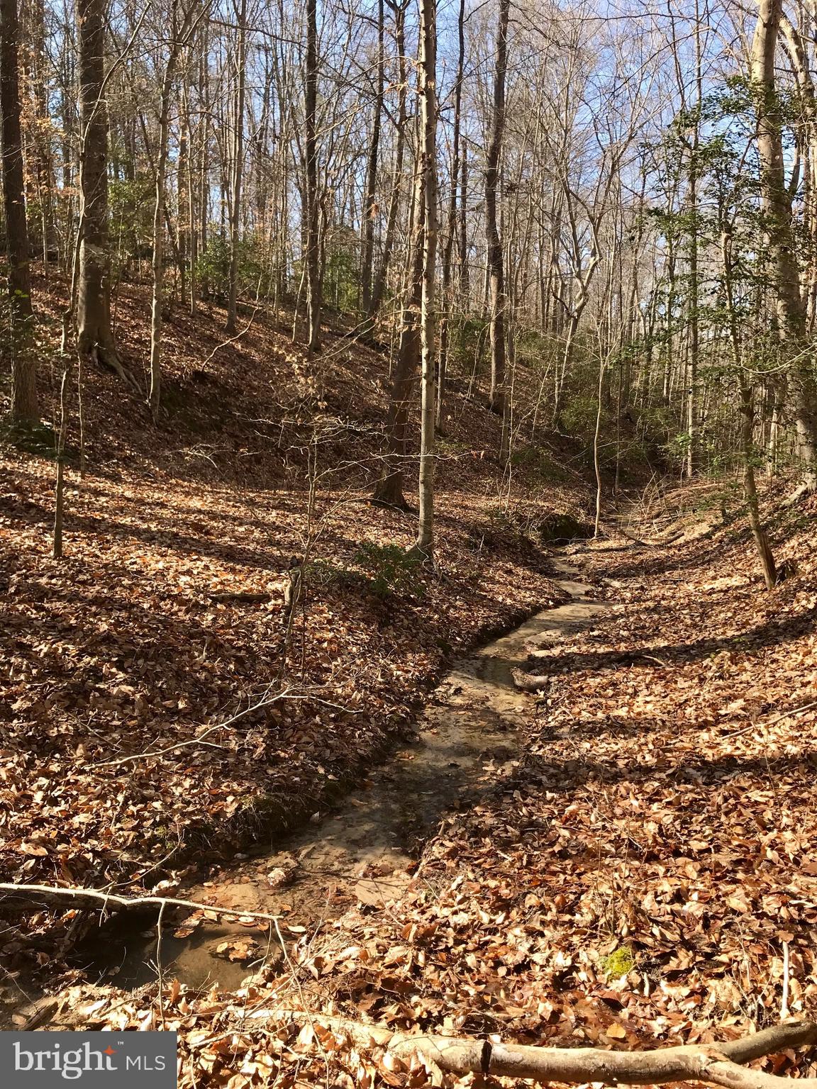 BEN OAKS - Residential