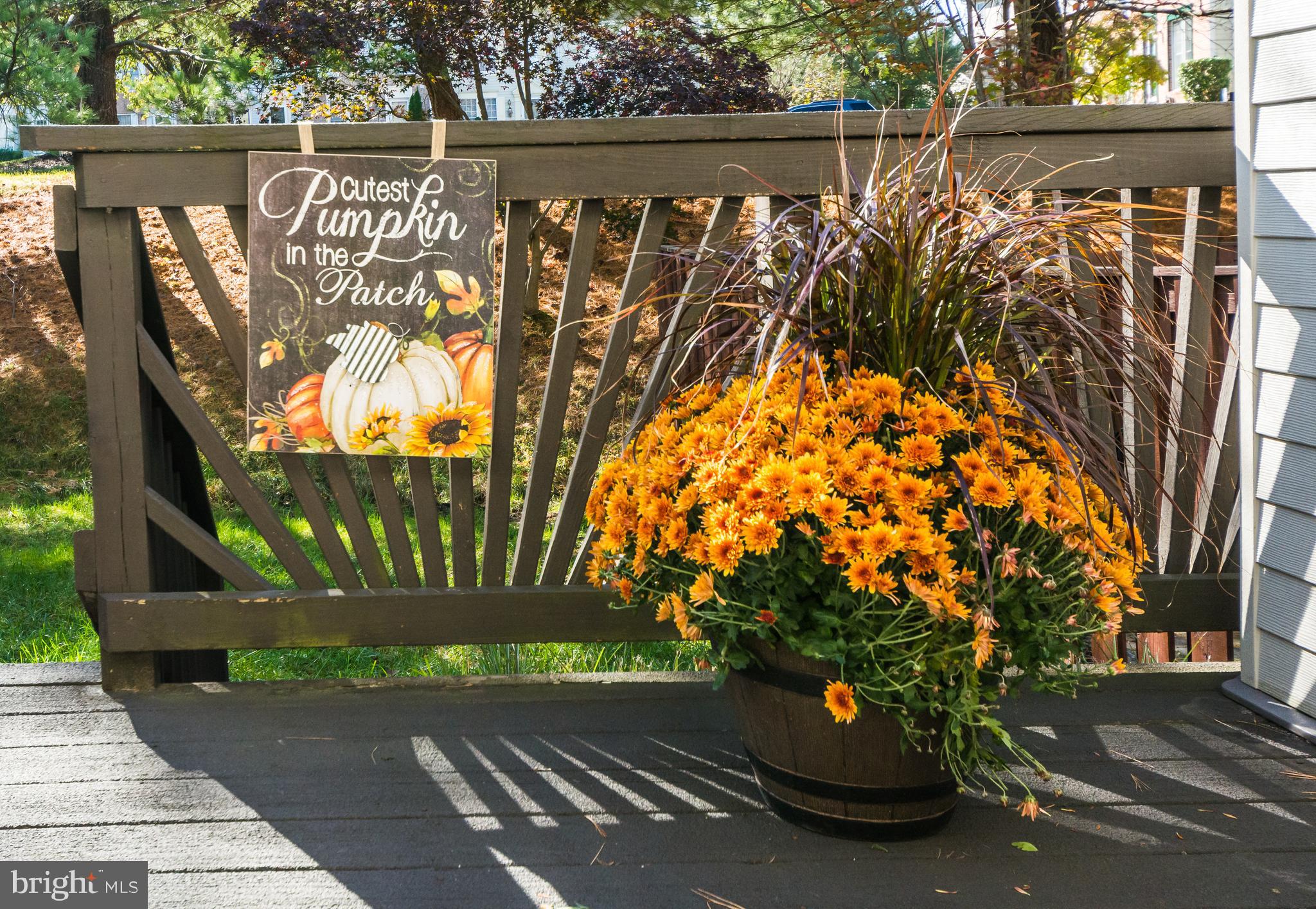 SOUTHFIELD AT WHITEMARSH - Residential