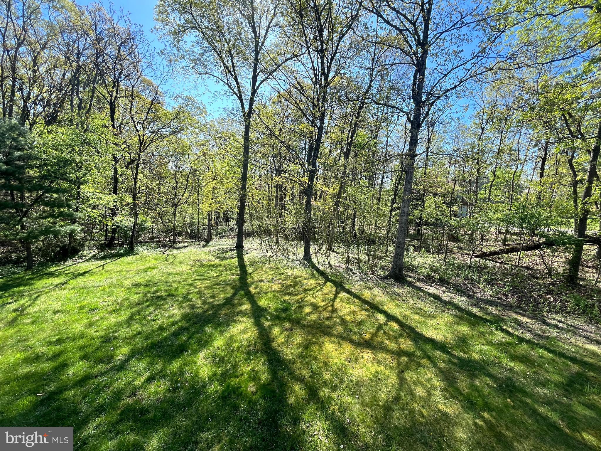 MARLOWE WOODS - Residential