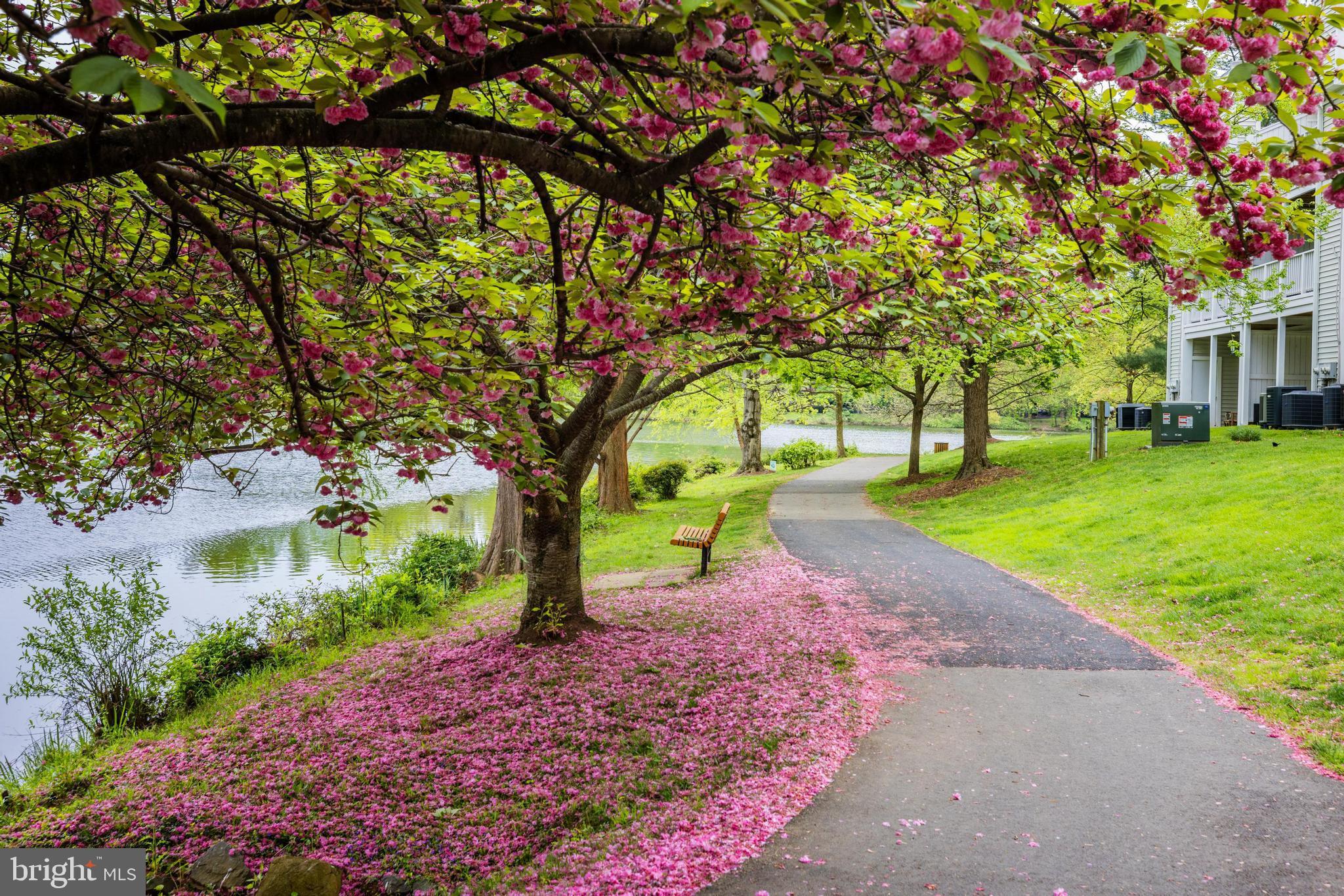 LAKEFORD - Residential