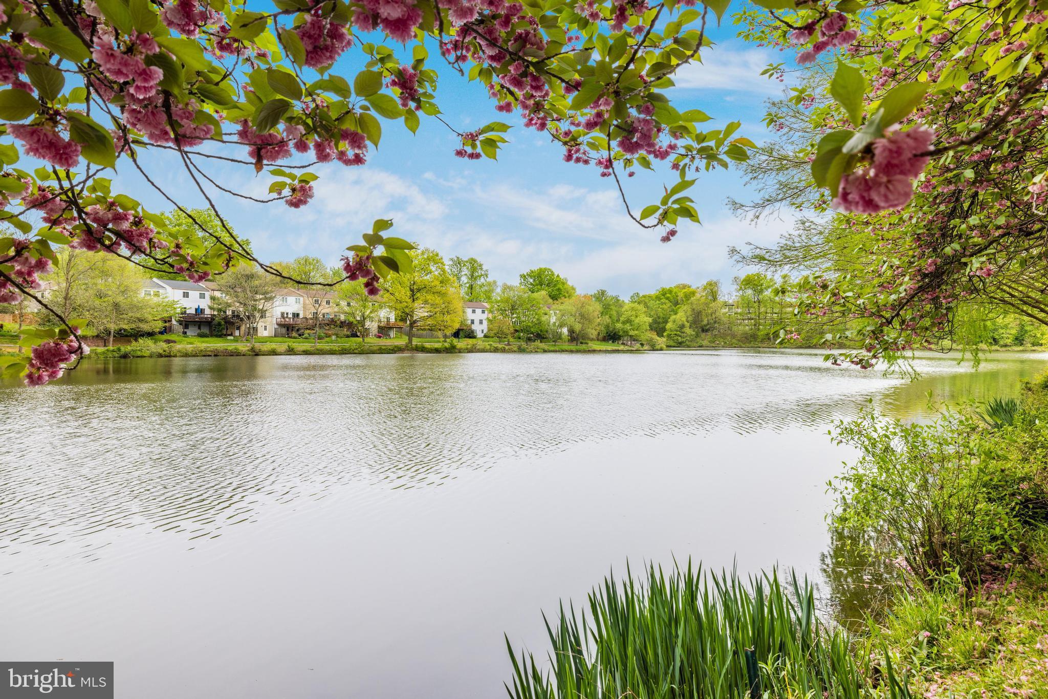 LAKEFORD - Residential