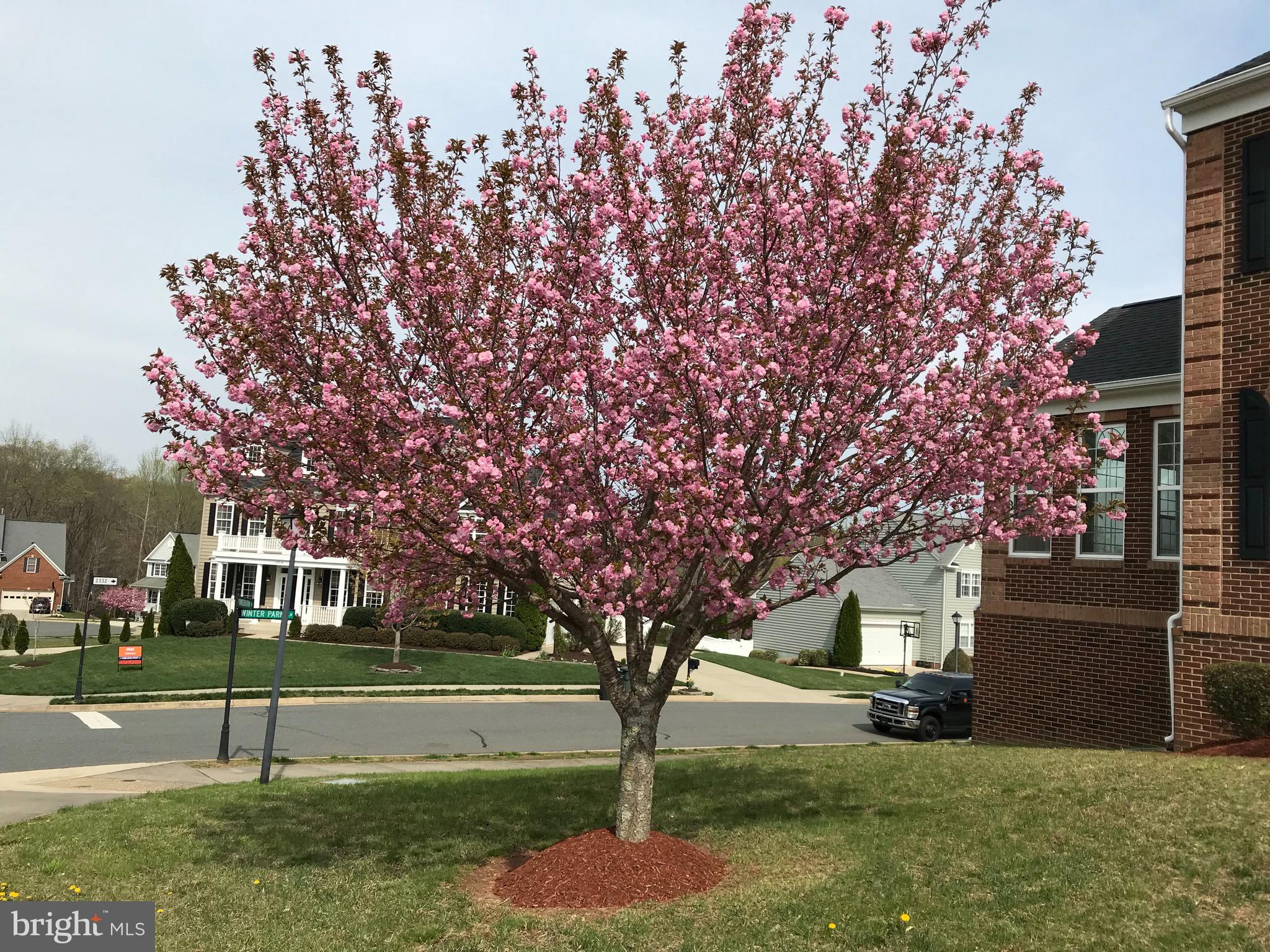 BRECKENRIDGE - Residential Lease