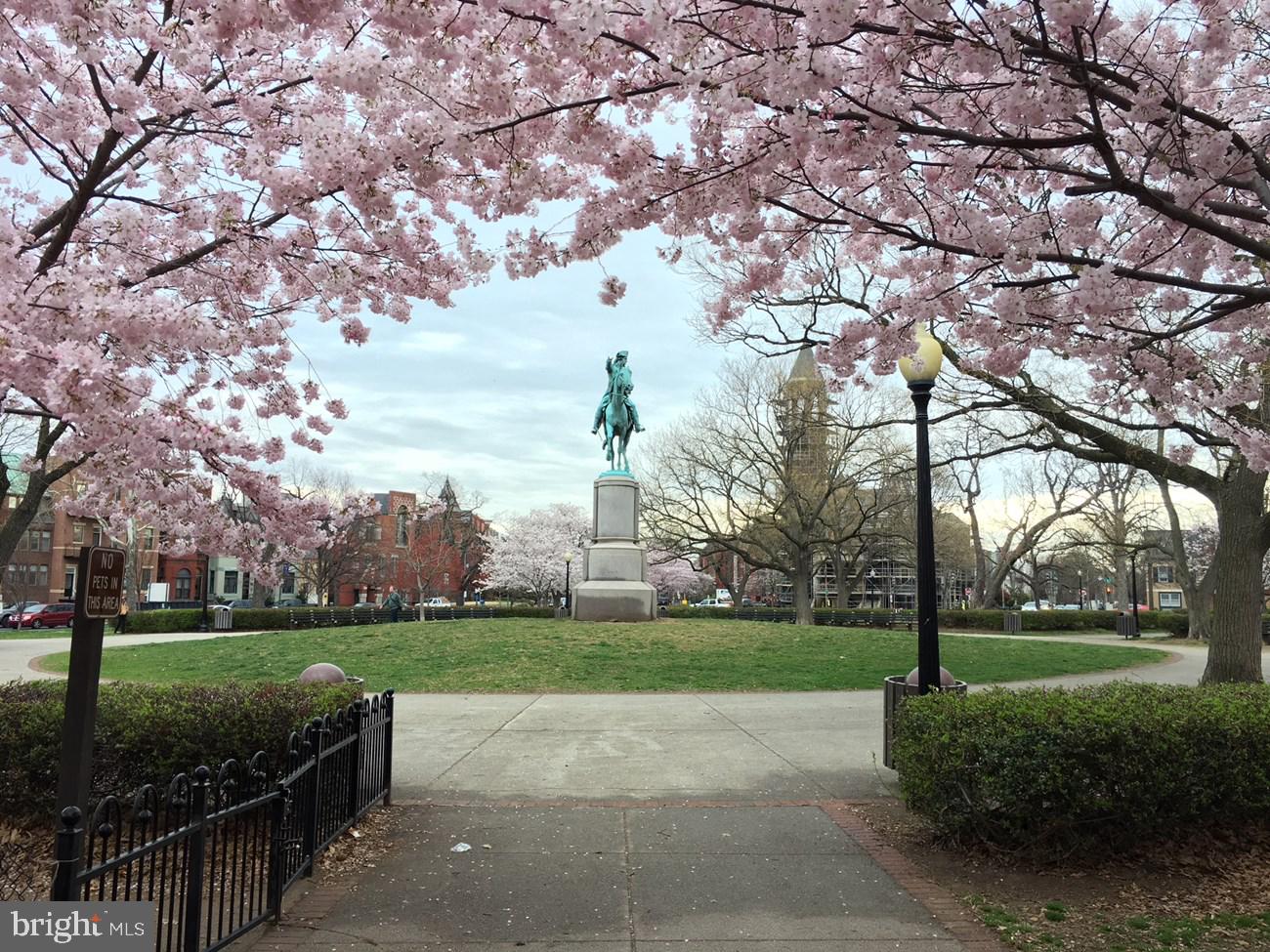 CAPITOL HILL - Residential