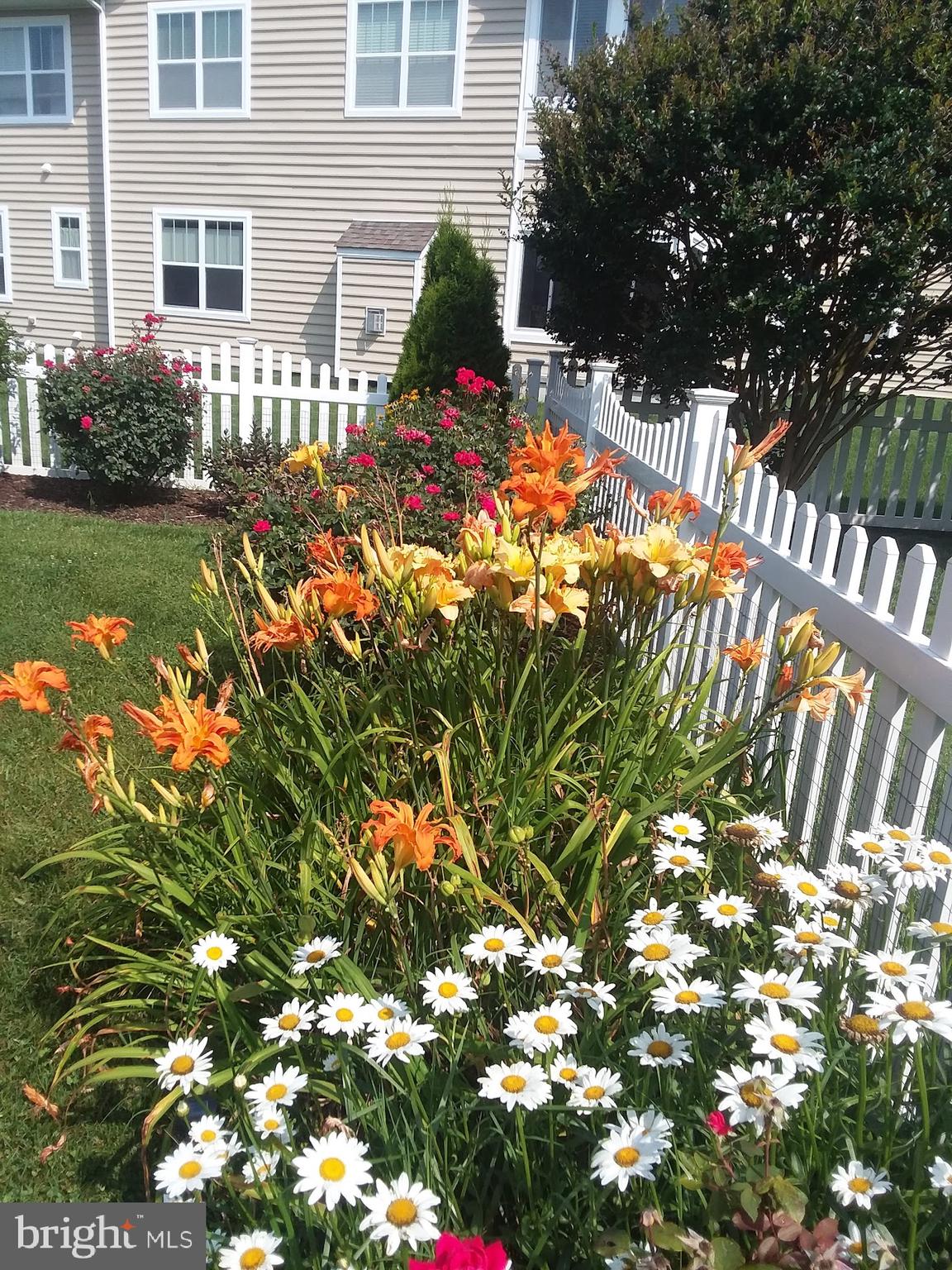 HEARTHSTONE MANOR - Residential