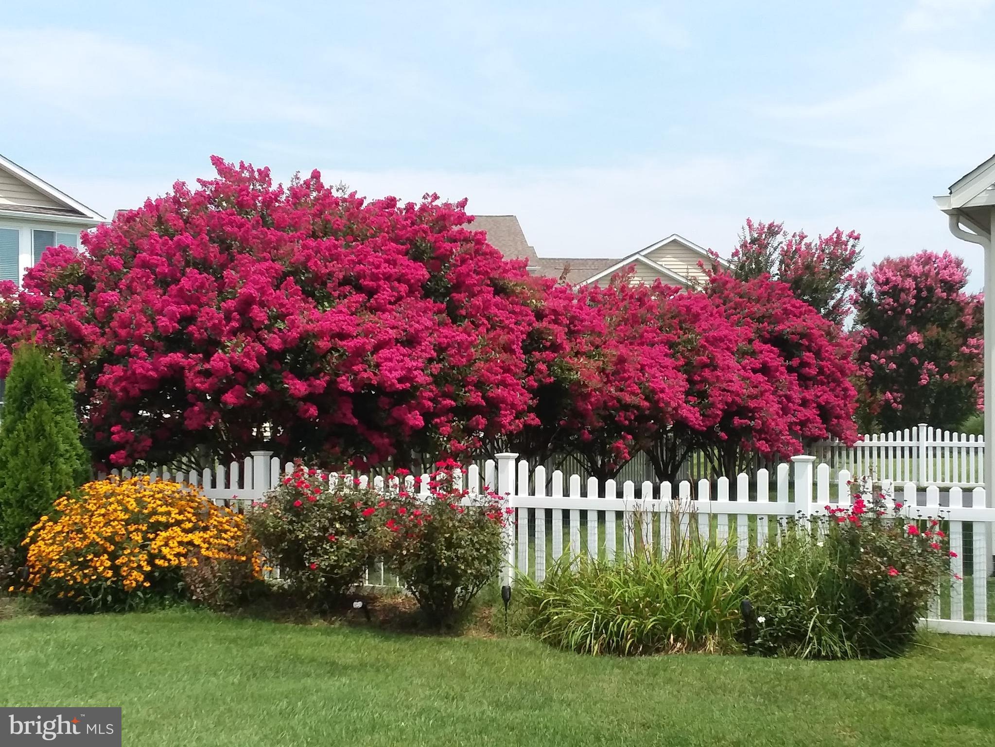 HEARTHSTONE MANOR - Residential