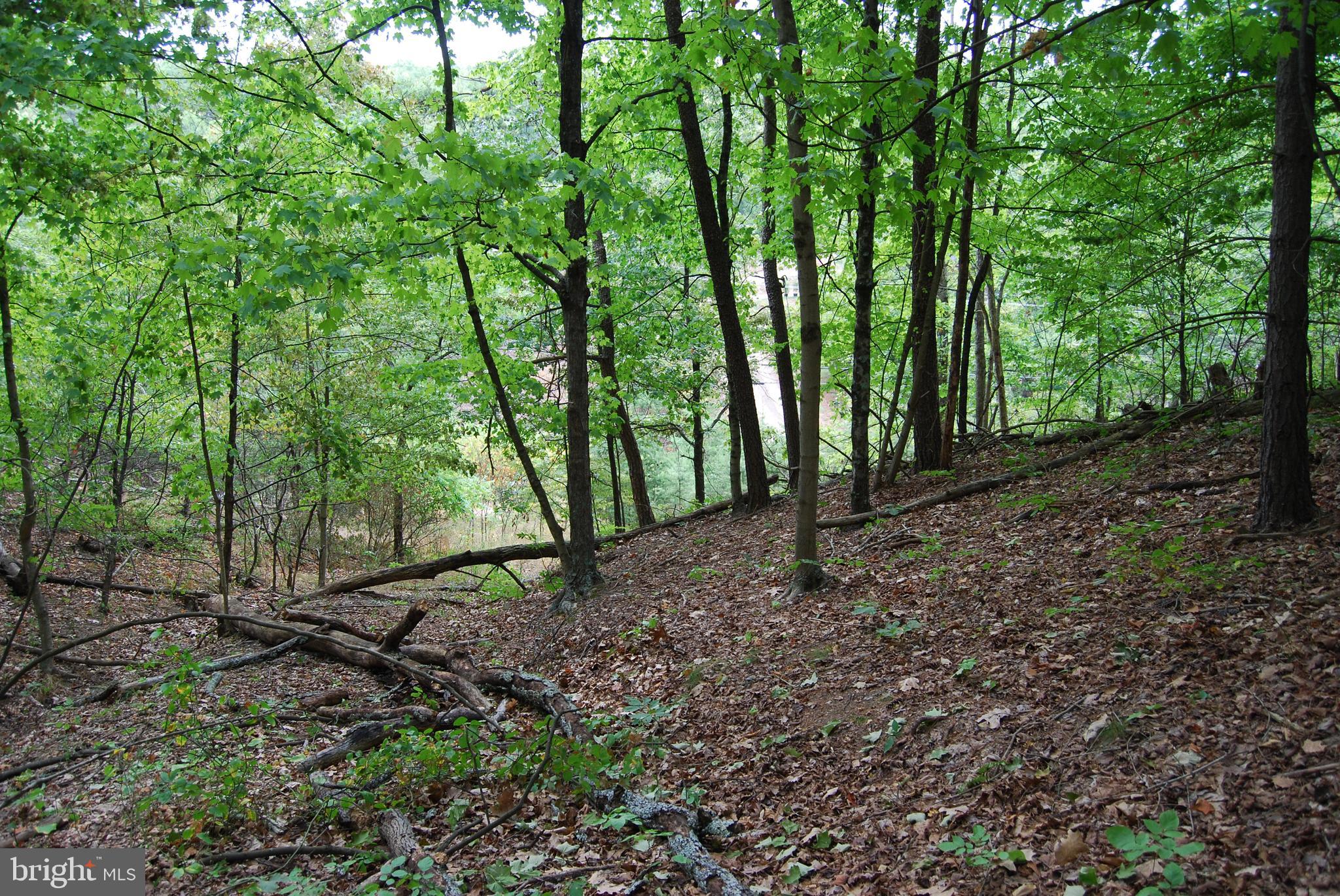 Situated just outside of the town limits of Berkeley is this fantastic building lot waiting for you to build your dream home. This property offers roughly 200 feet of road frontage giving you plenty of room to pick your location for a driveway that best suites your home. Much of the property is under the canopy of oak and hickory trees which is complimented by gentle sloping terrain. As you are looking at the property you will notice a new survey with all the corners flagged and marked ensuring there are no questions on property lines.