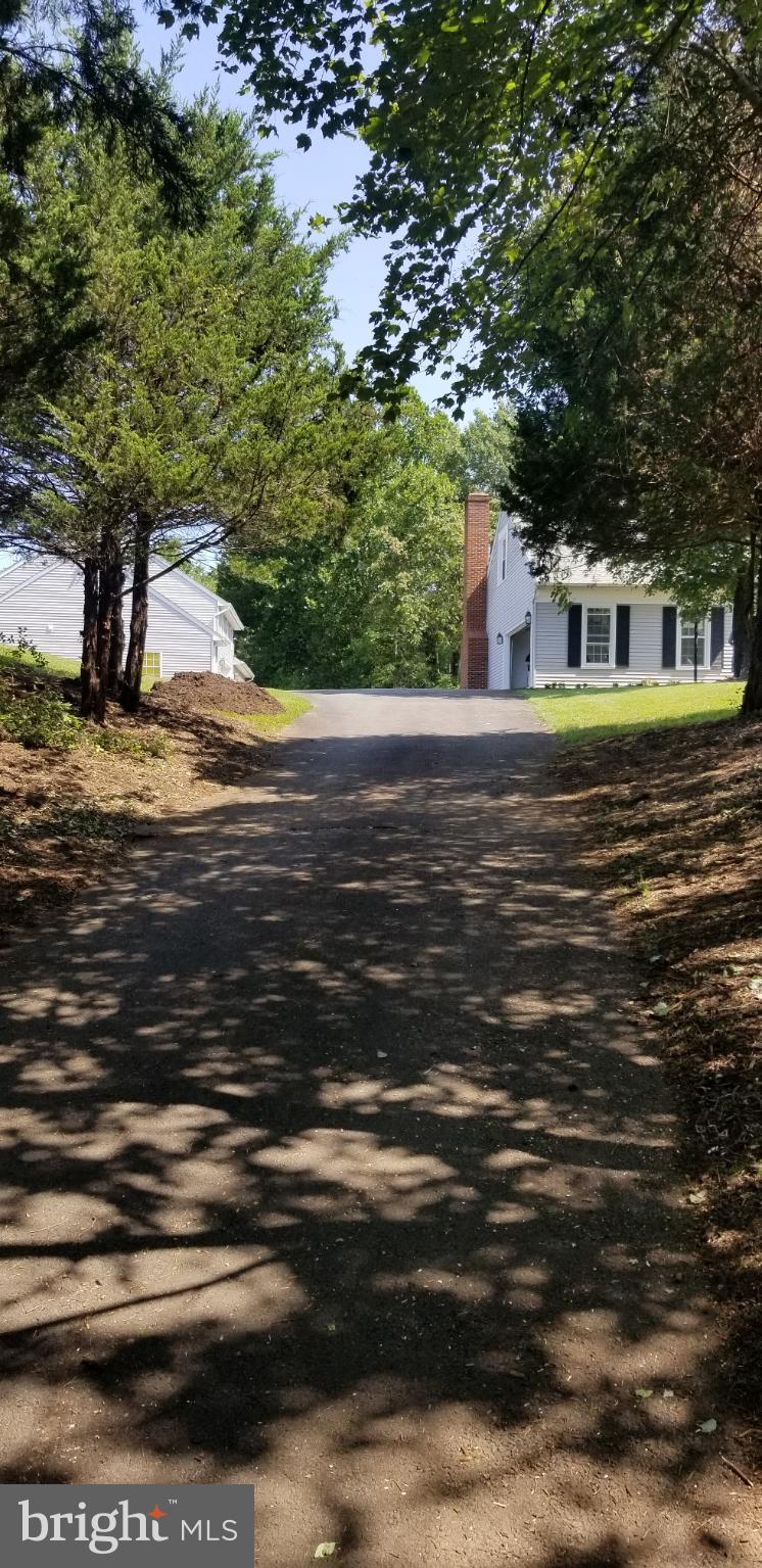 LYNN FOREST - Residential