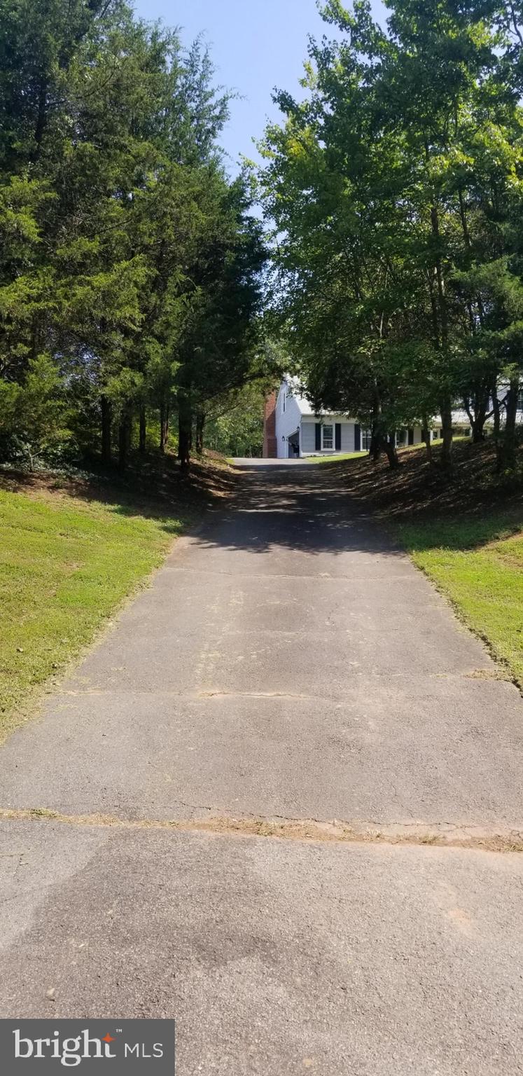 LYNN FOREST - Residential