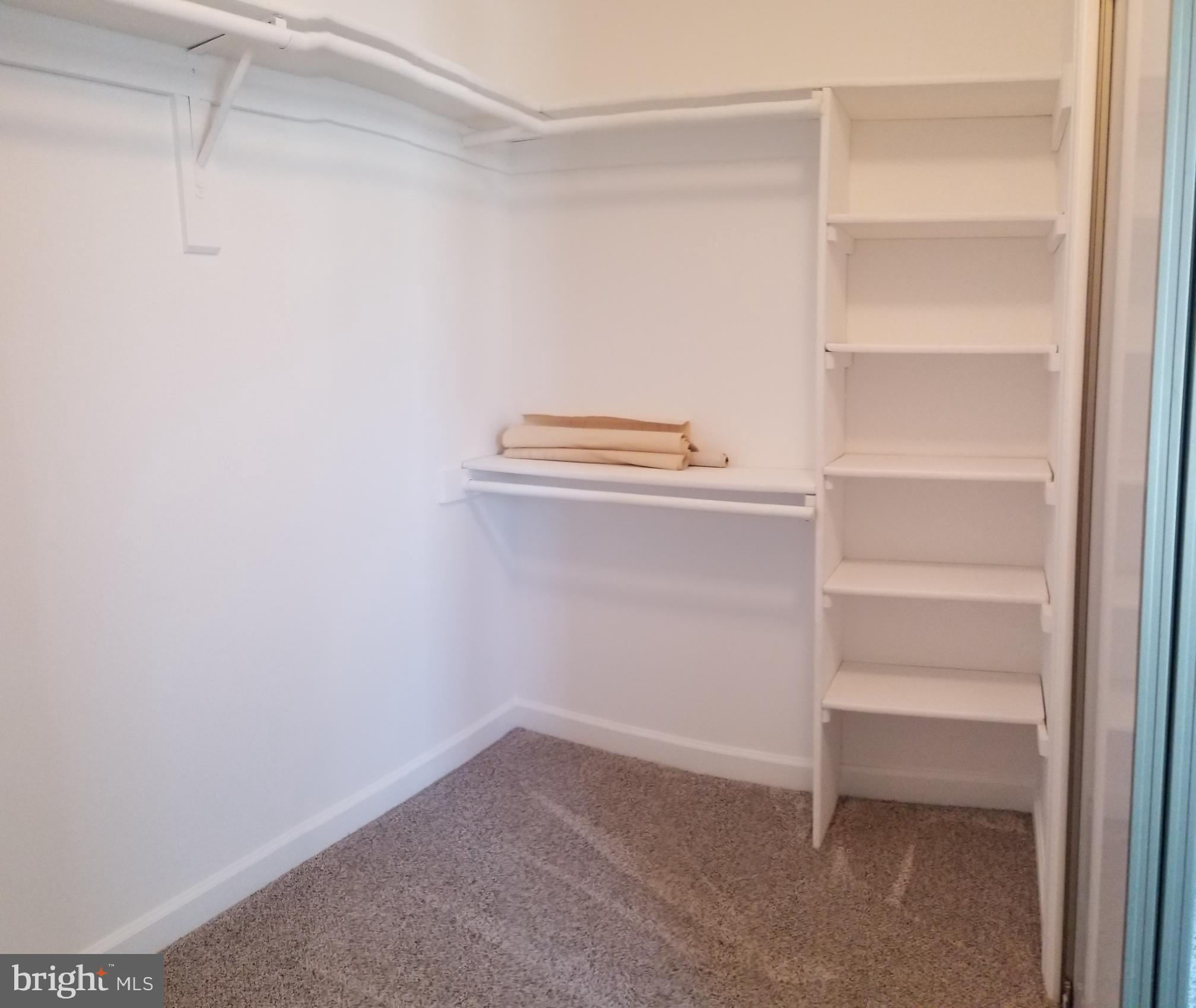 LYNN FOREST - Residential