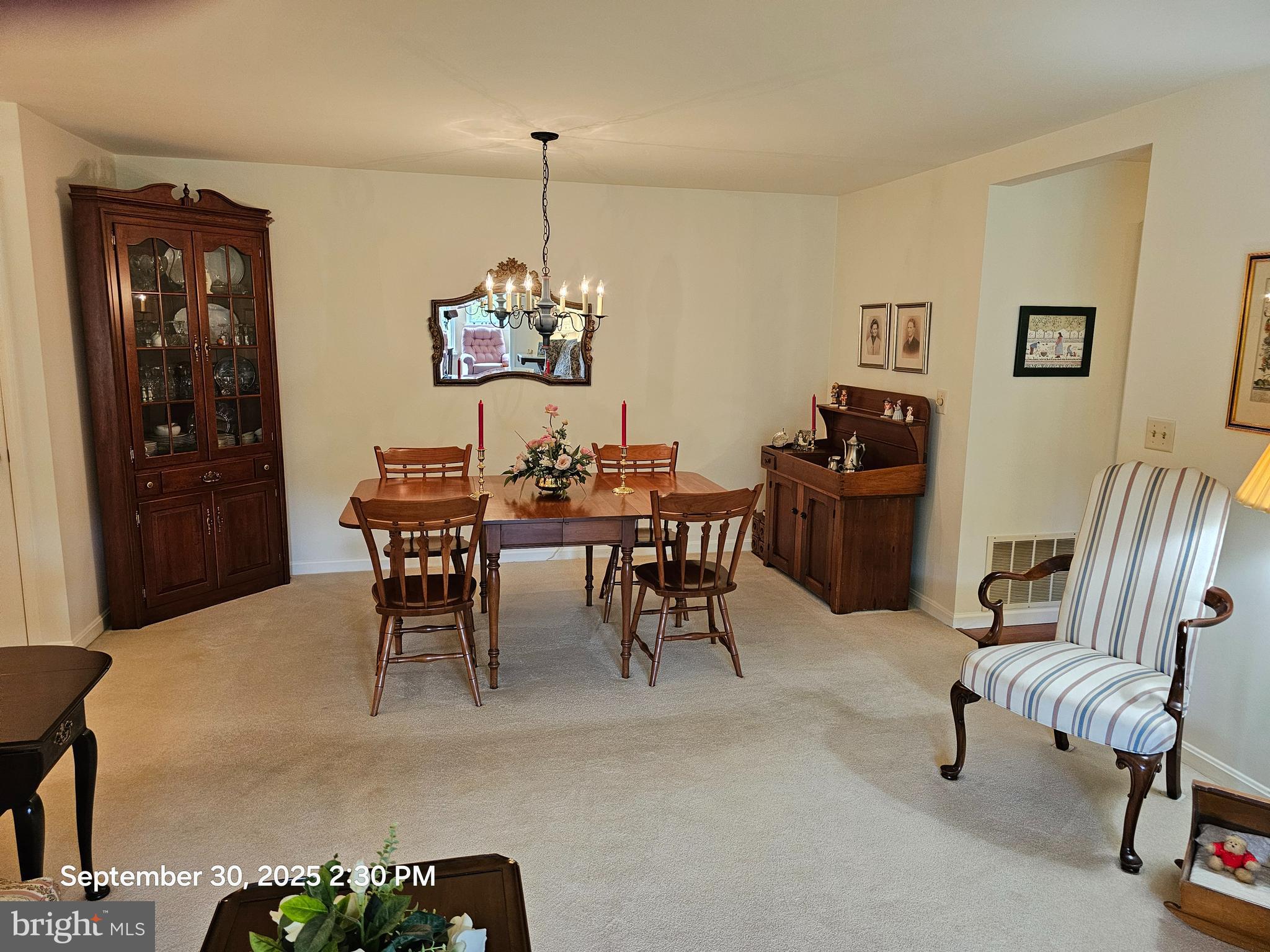 306 COUNTRY PLACE DRIVE