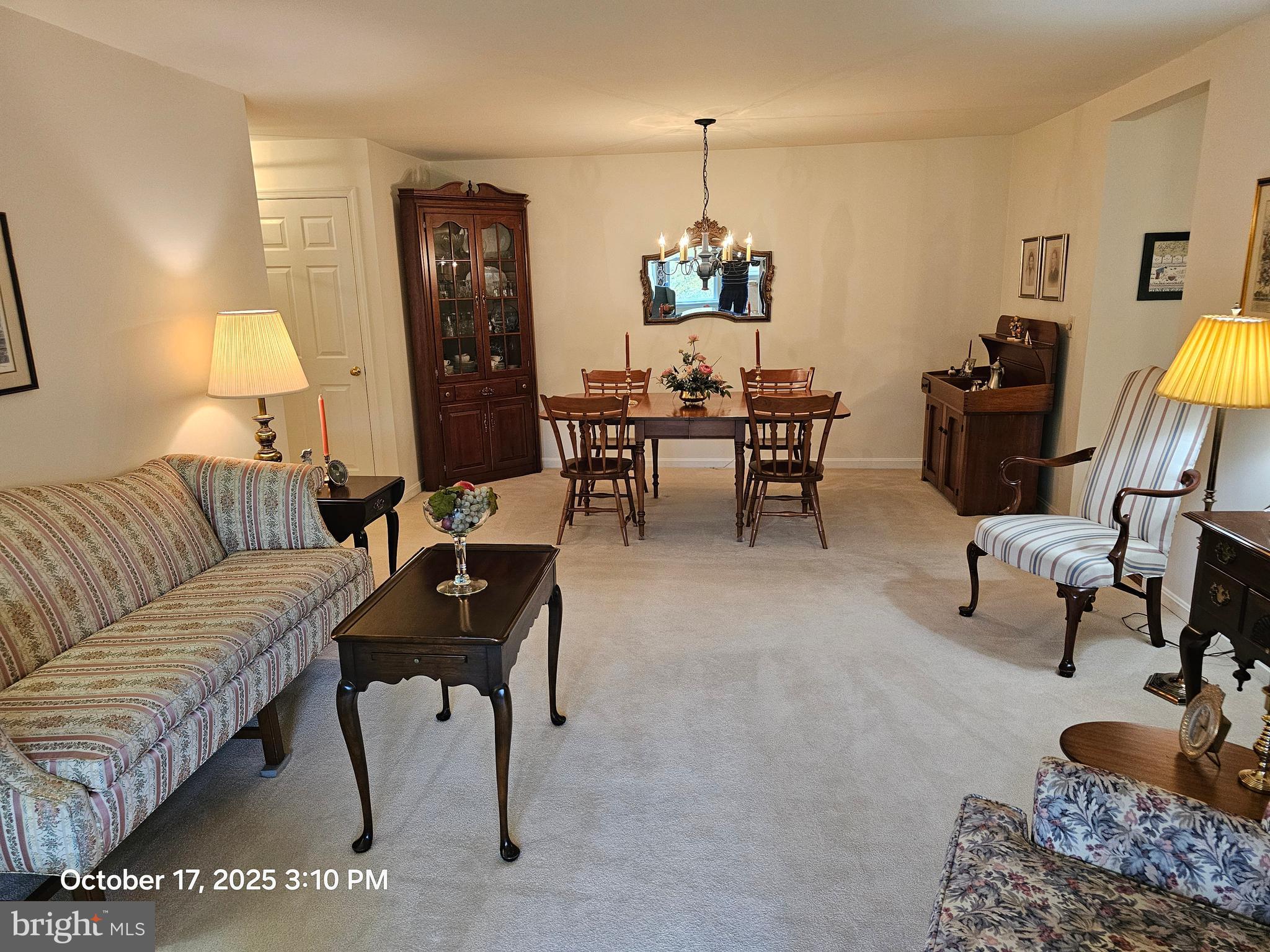 306 COUNTRY PLACE DRIVE