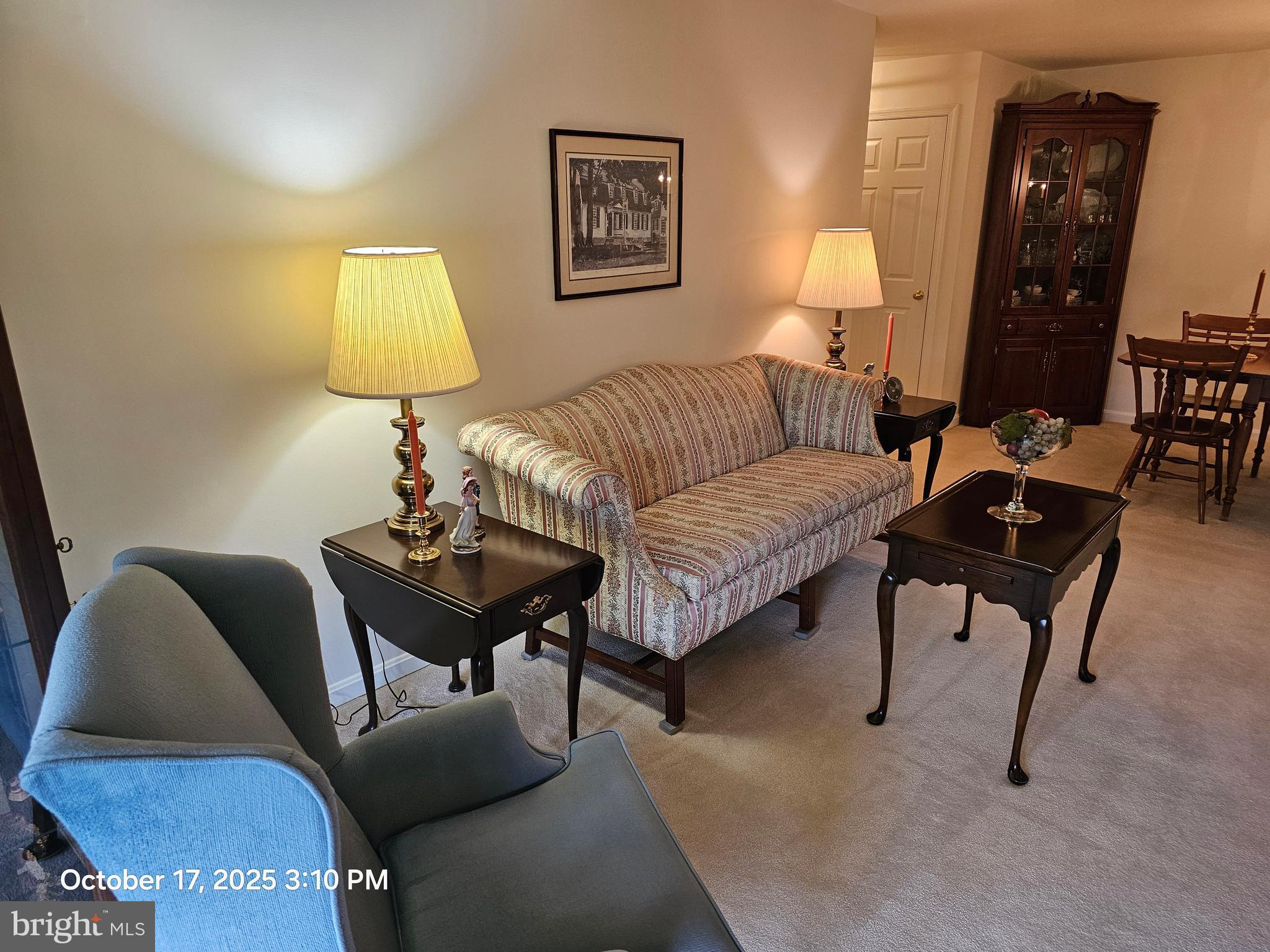 306 COUNTRY PLACE DRIVE