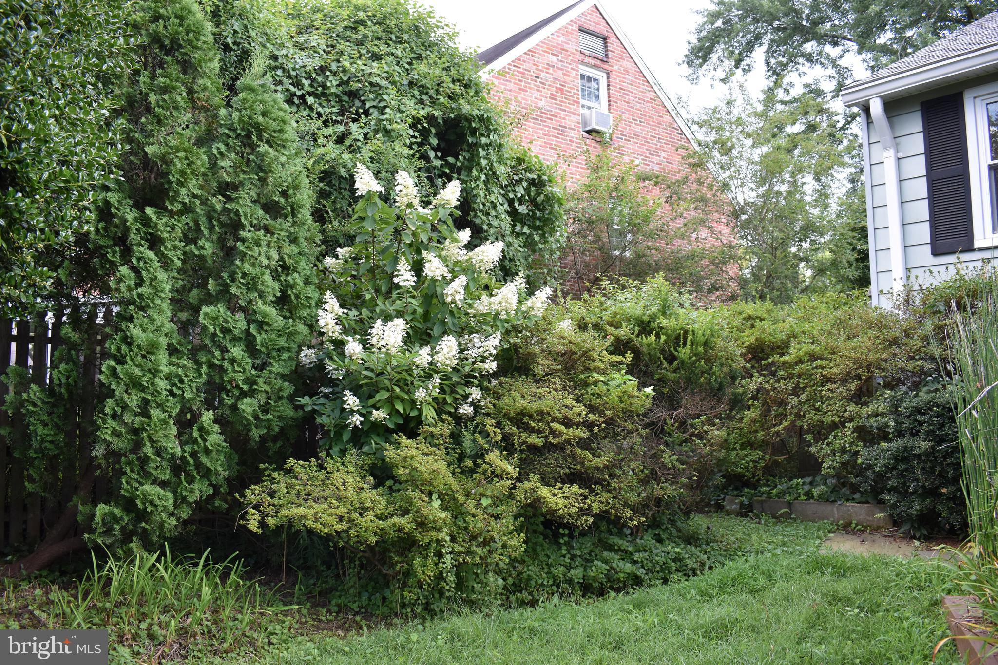 CHEVY CHASE VIEW - Residential