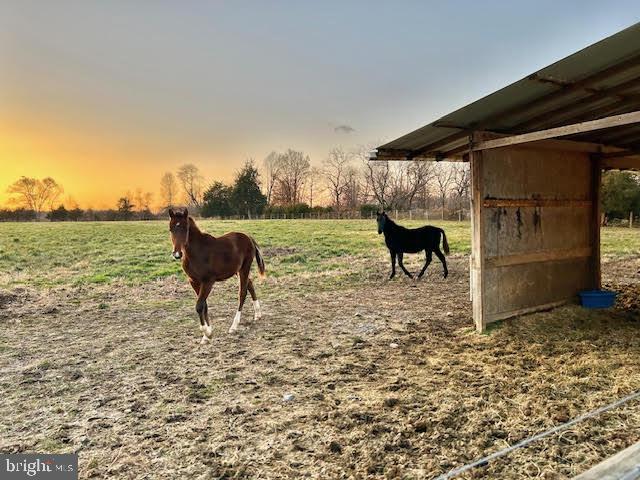 NONE AVAILABLE - Commercial Lease