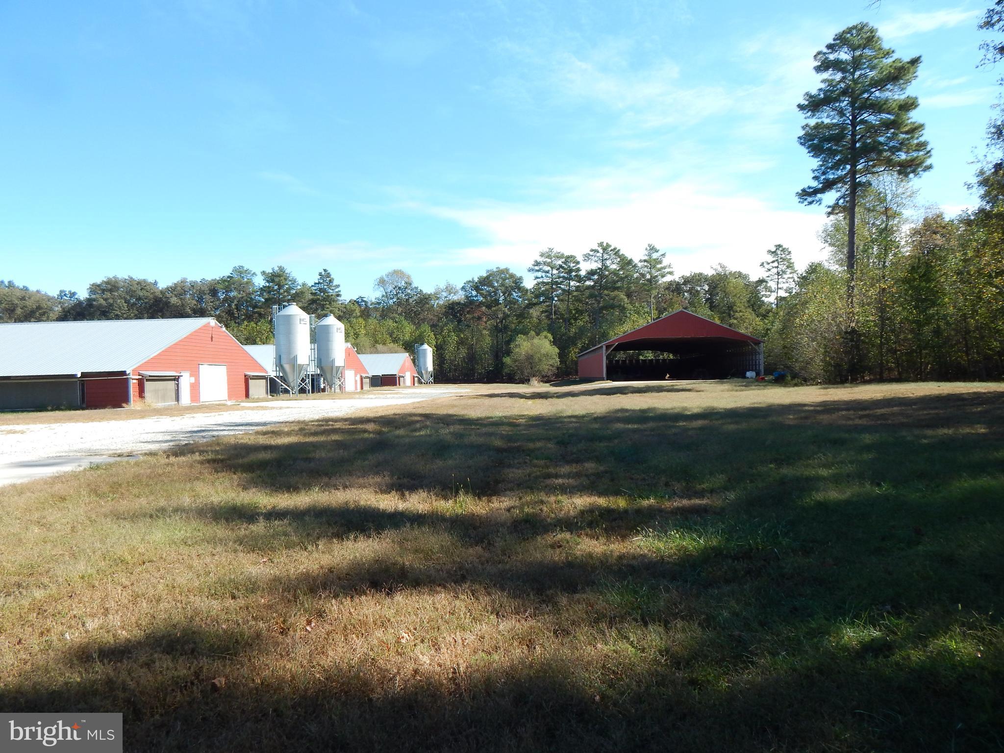 NONE AVAILABLE - Farm