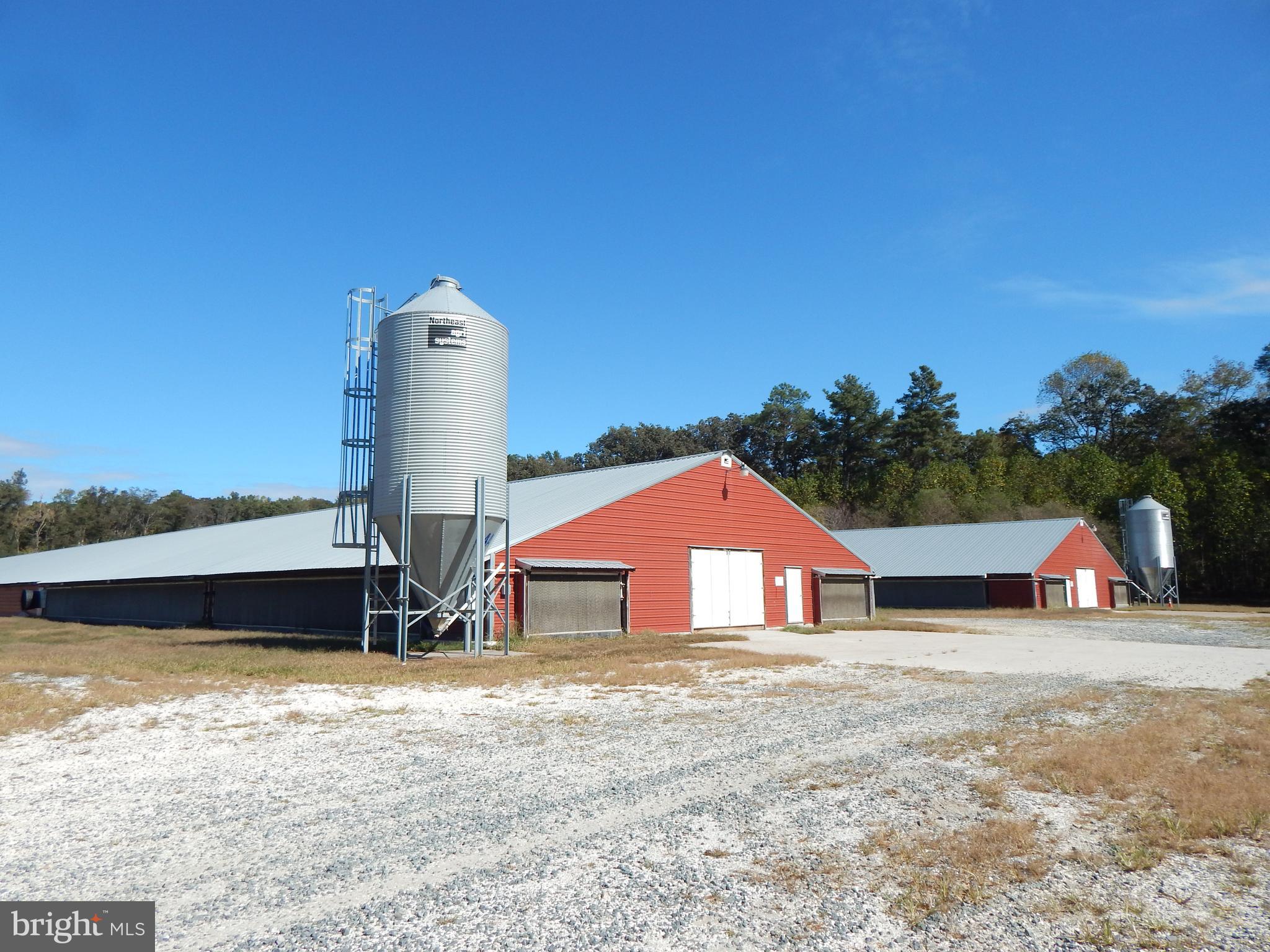 NONE AVAILABLE - Farm