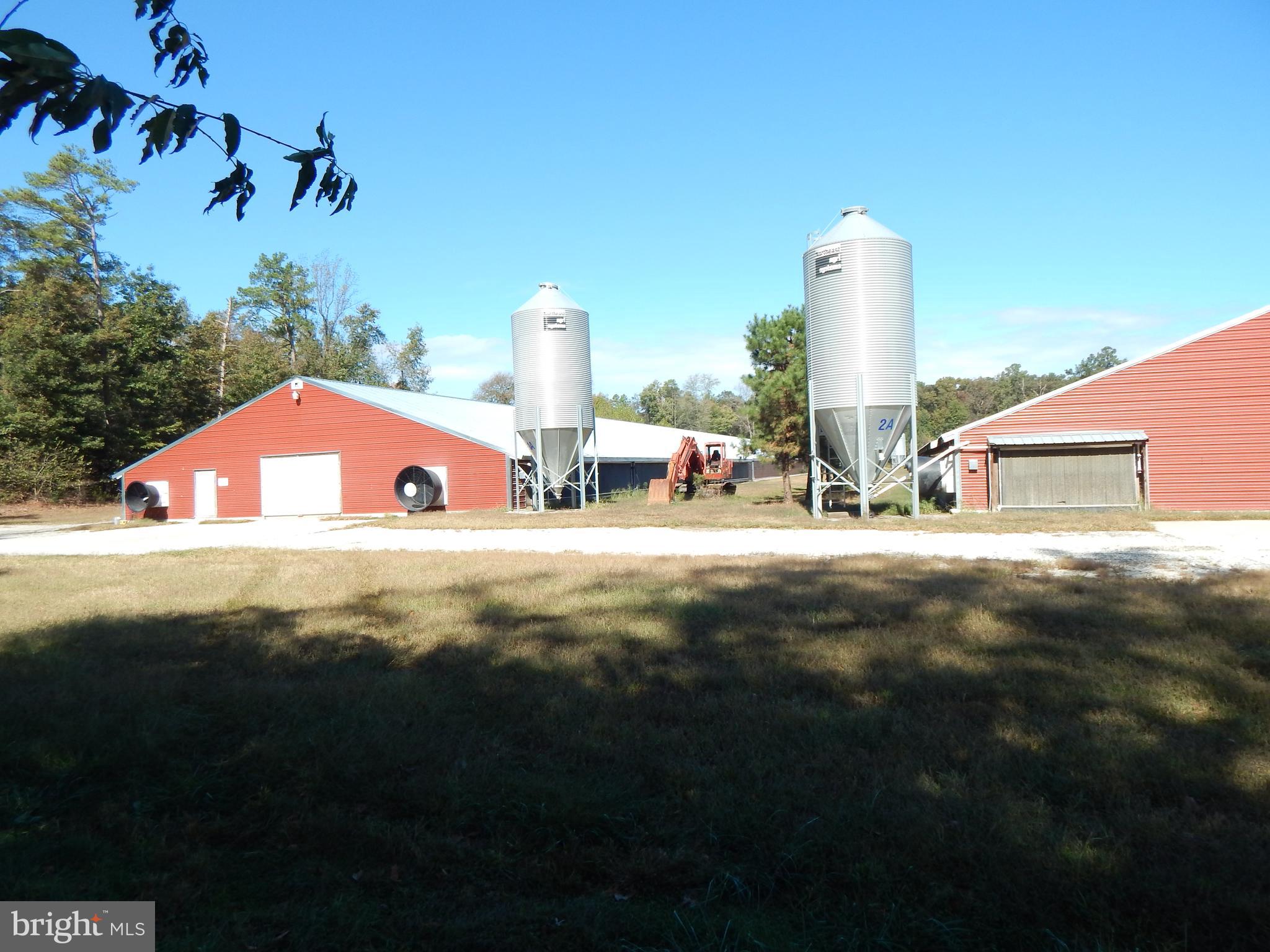 NONE AVAILABLE - Farm