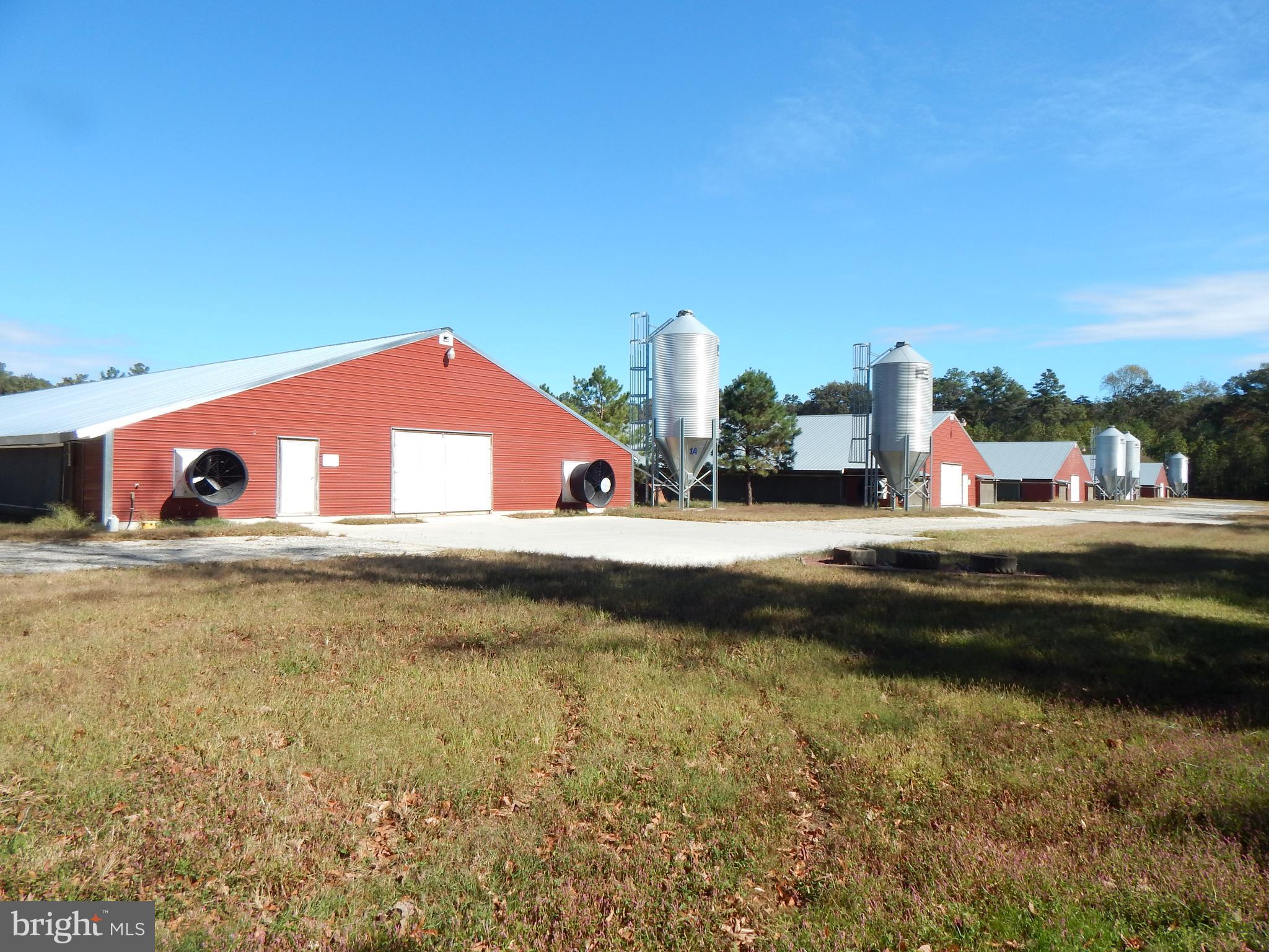 NONE AVAILABLE - Farm