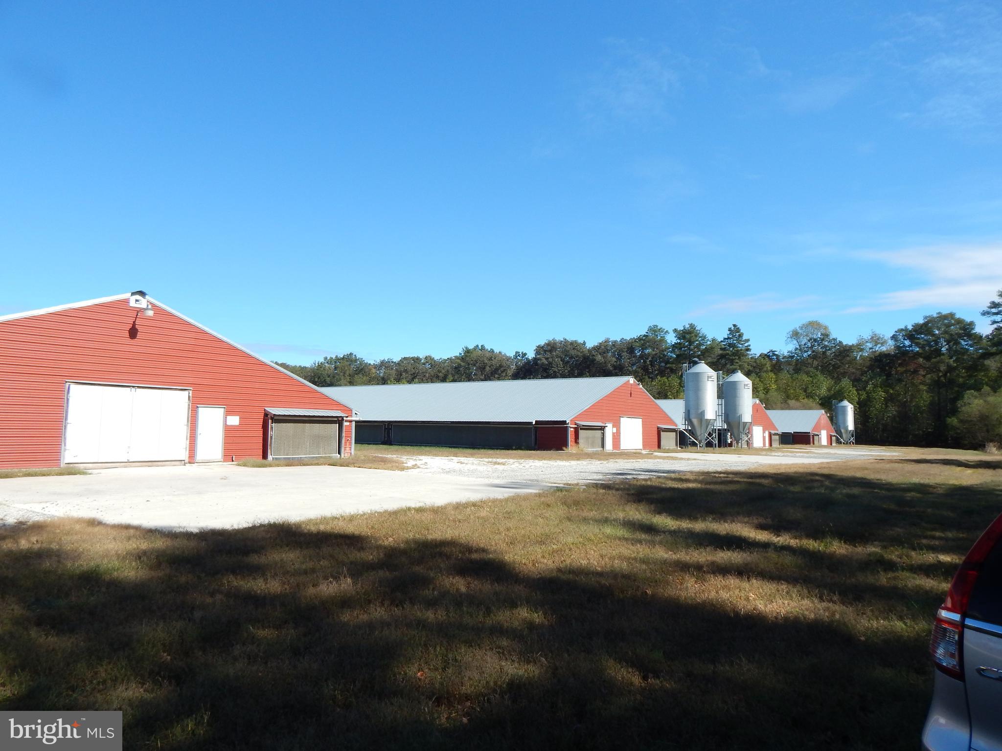 NONE AVAILABLE - Farm