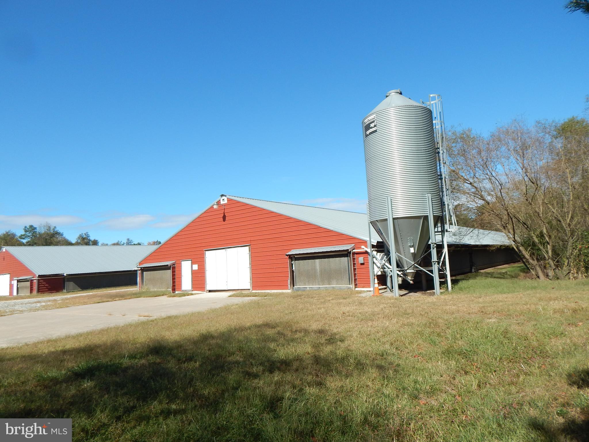 NONE AVAILABLE - Farm