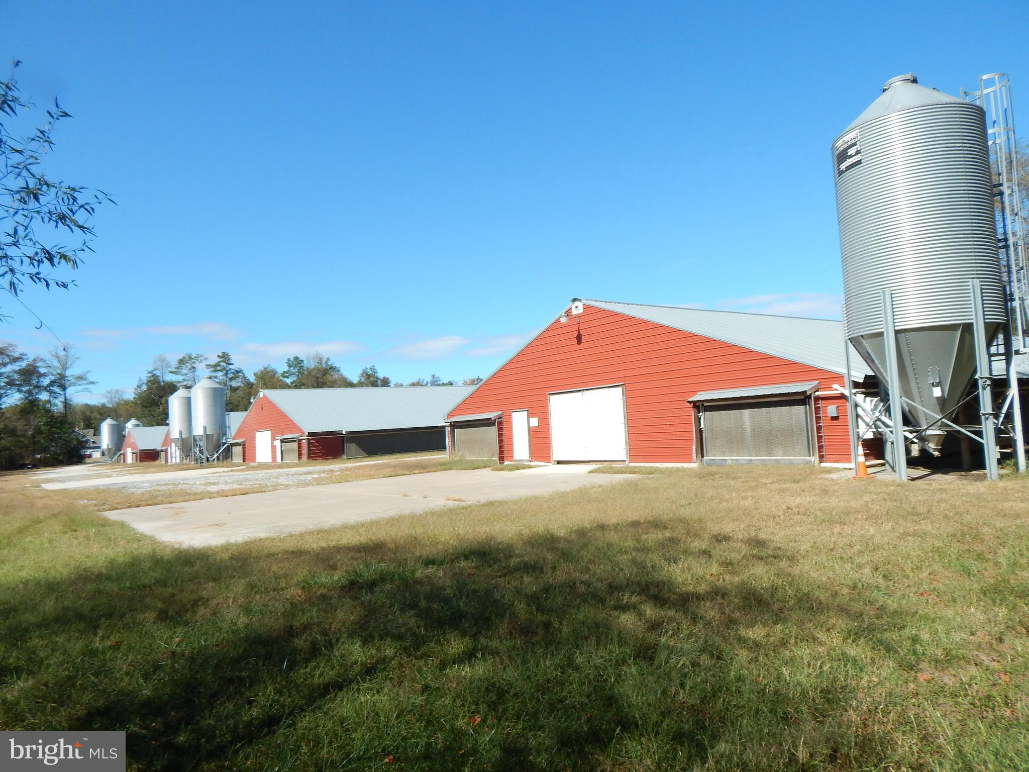 NONE AVAILABLE - Farm