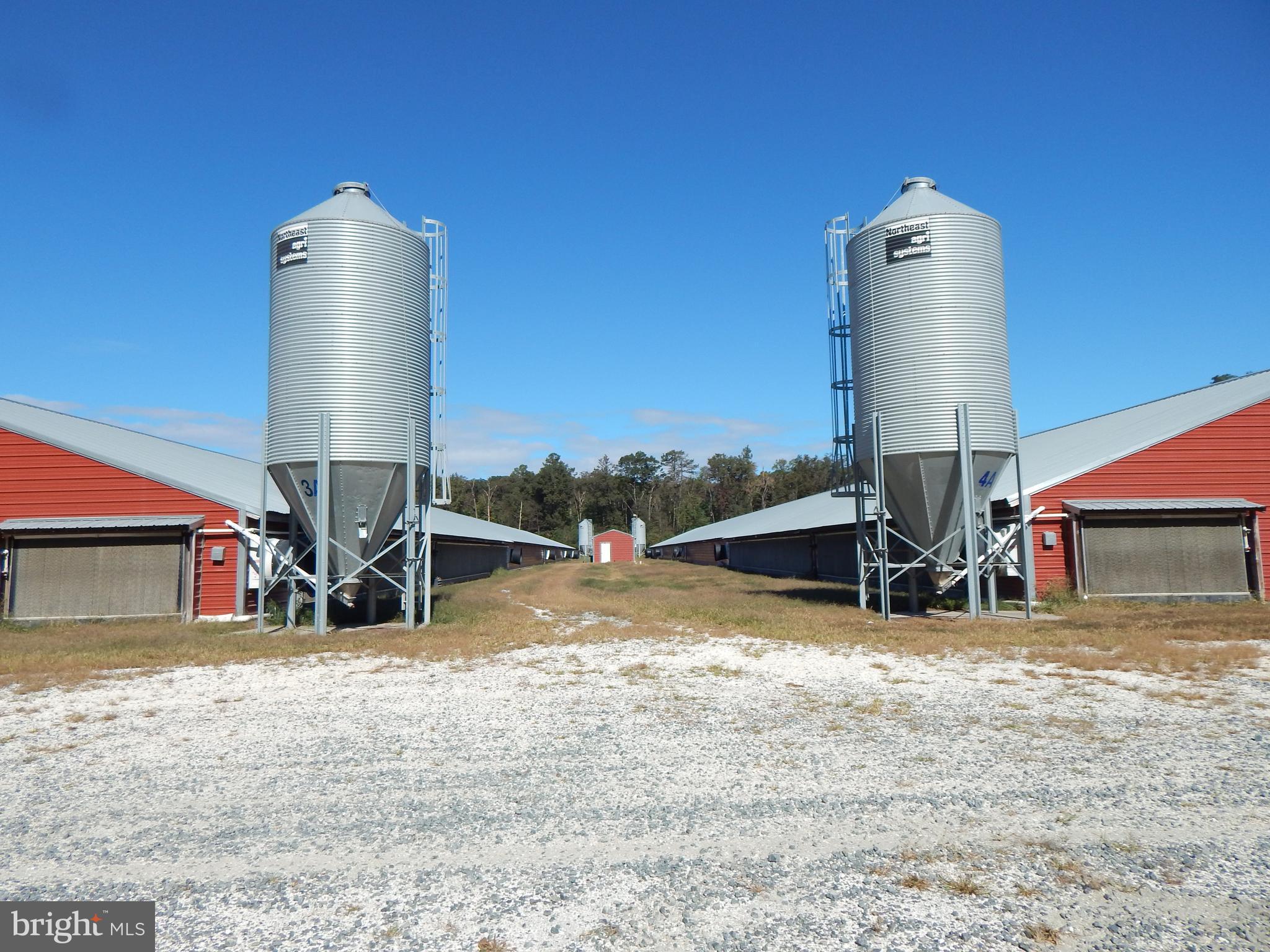 NONE AVAILABLE - Farm