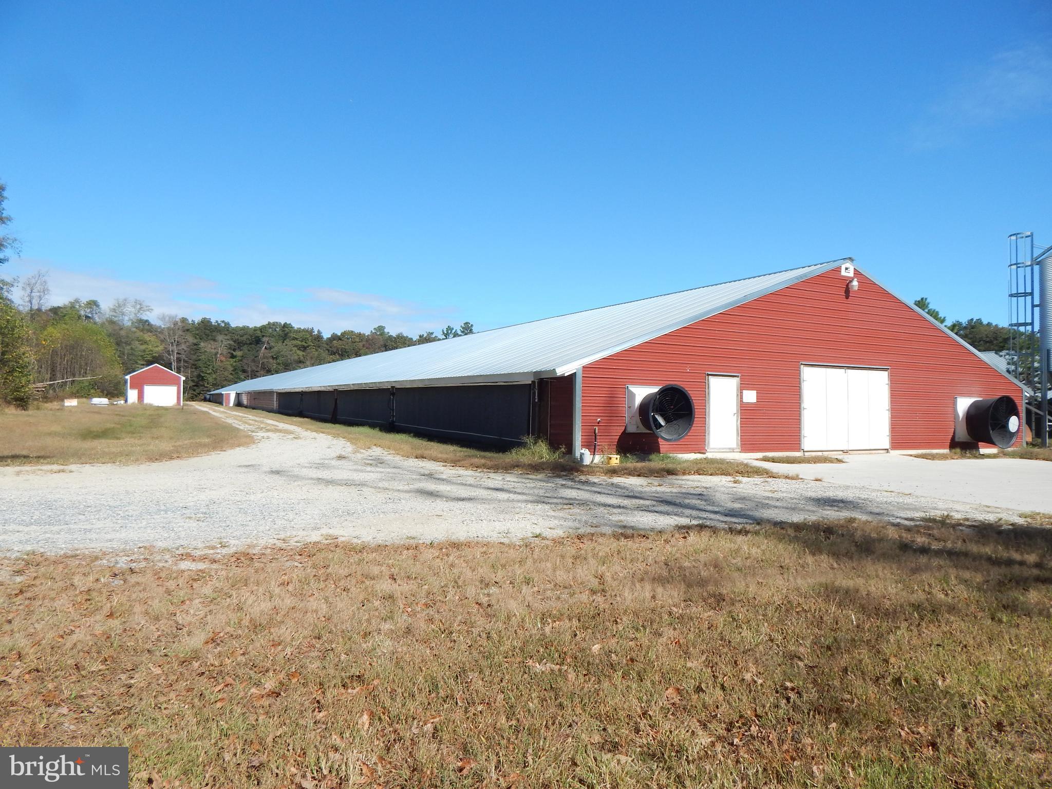 NONE AVAILABLE - Farm