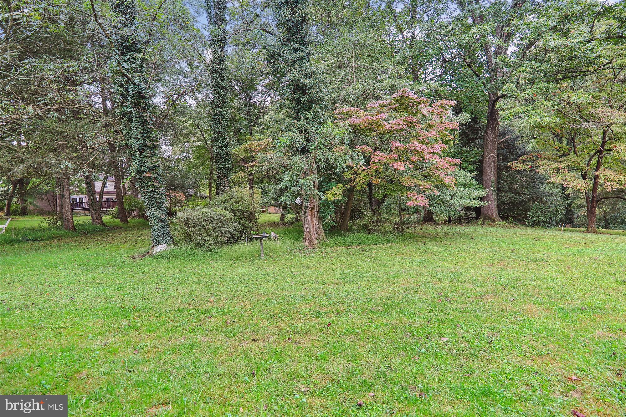 ASHTON - Residential