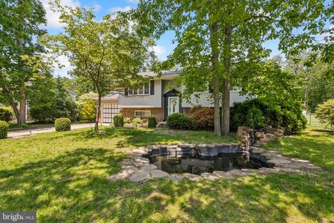 513 LOUISIANA TRAIL BROWNS MILLS NJ 08015