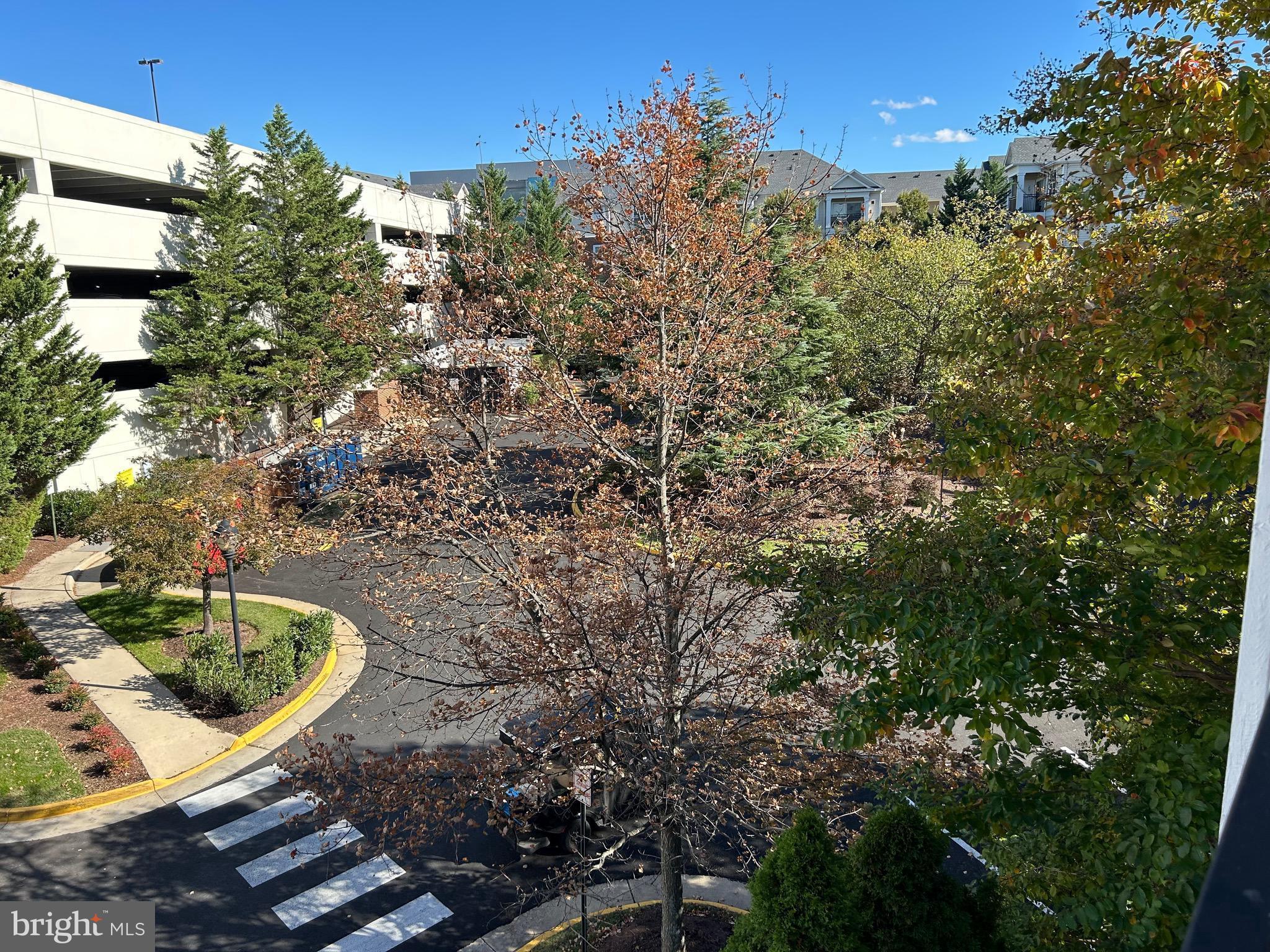 BRYSON AT WOODLAND PARK - Residential