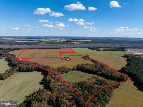 Vacant Land For Sale - Indiantown Road<br/> RHODESDALE, MD 21659