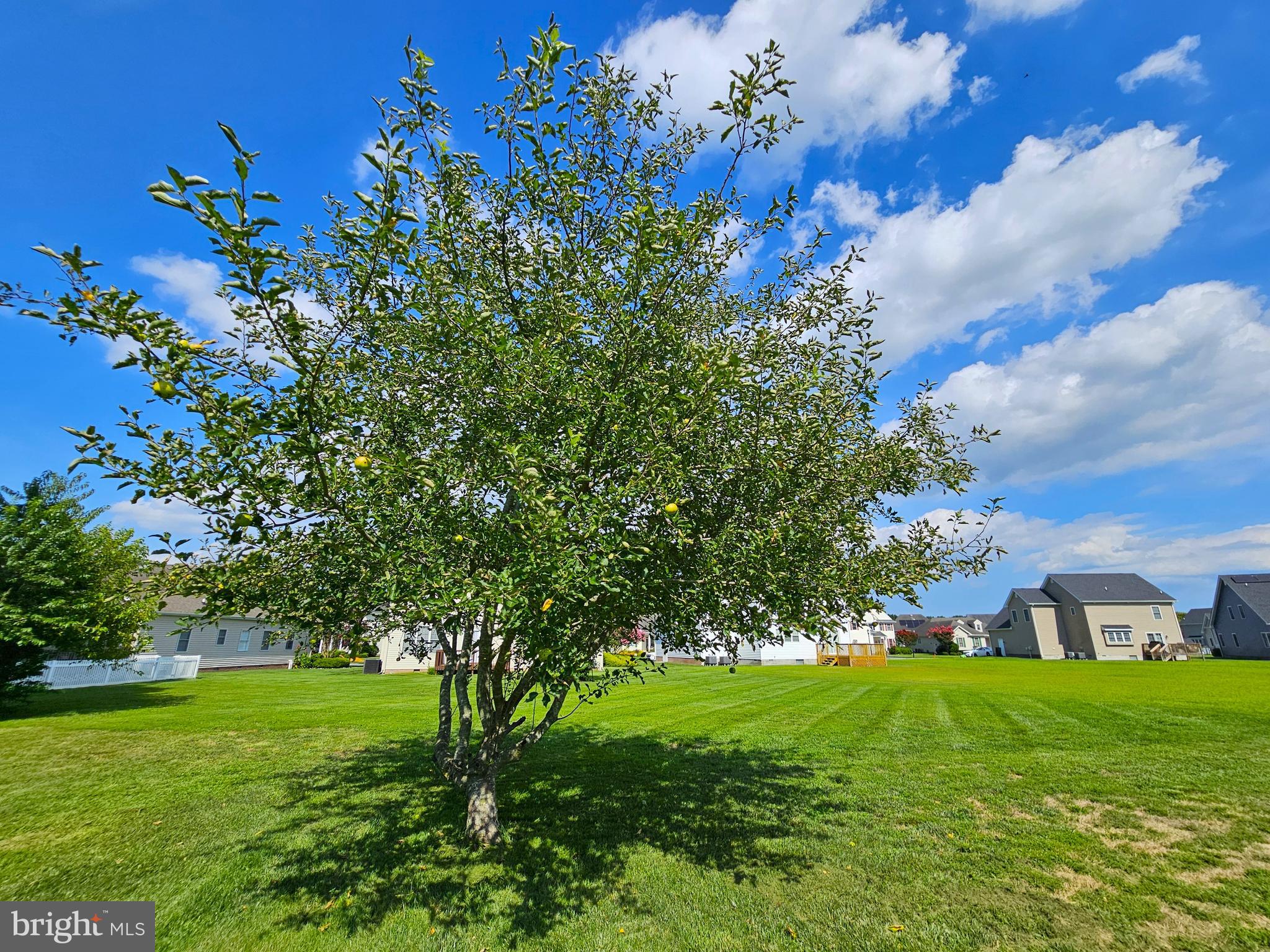 SLEEPY HOLLOW - Residential Lease