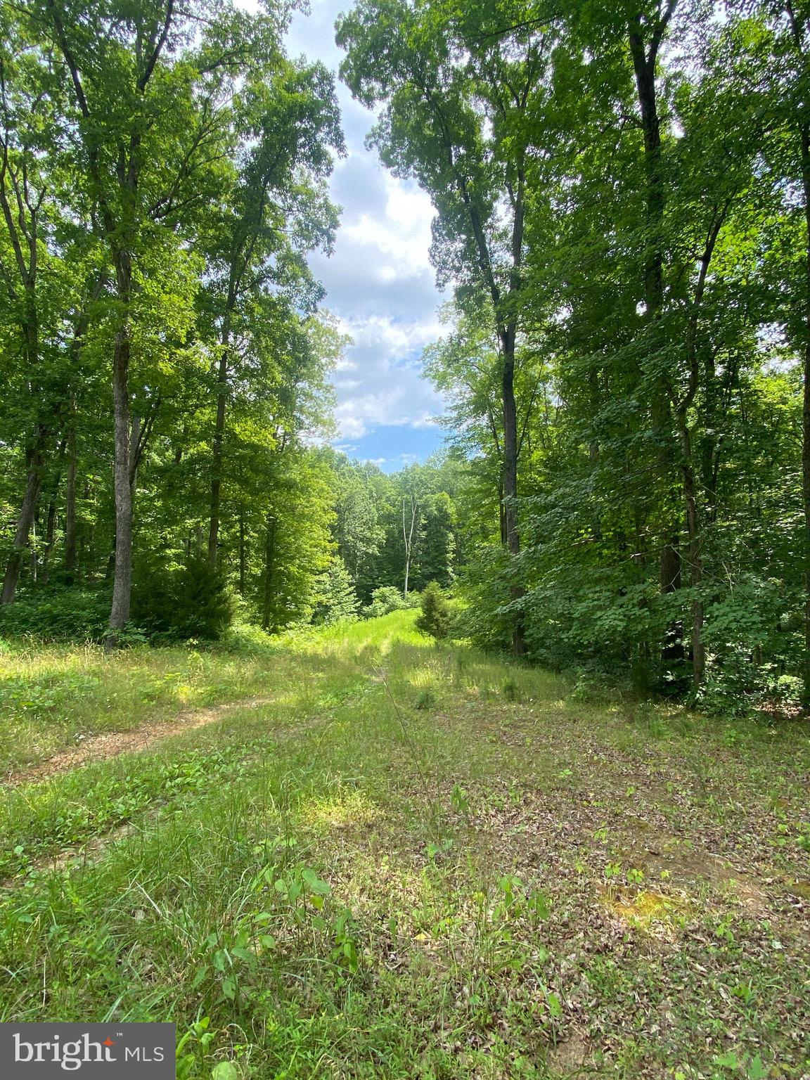 Lot 0012 HOPE LANE