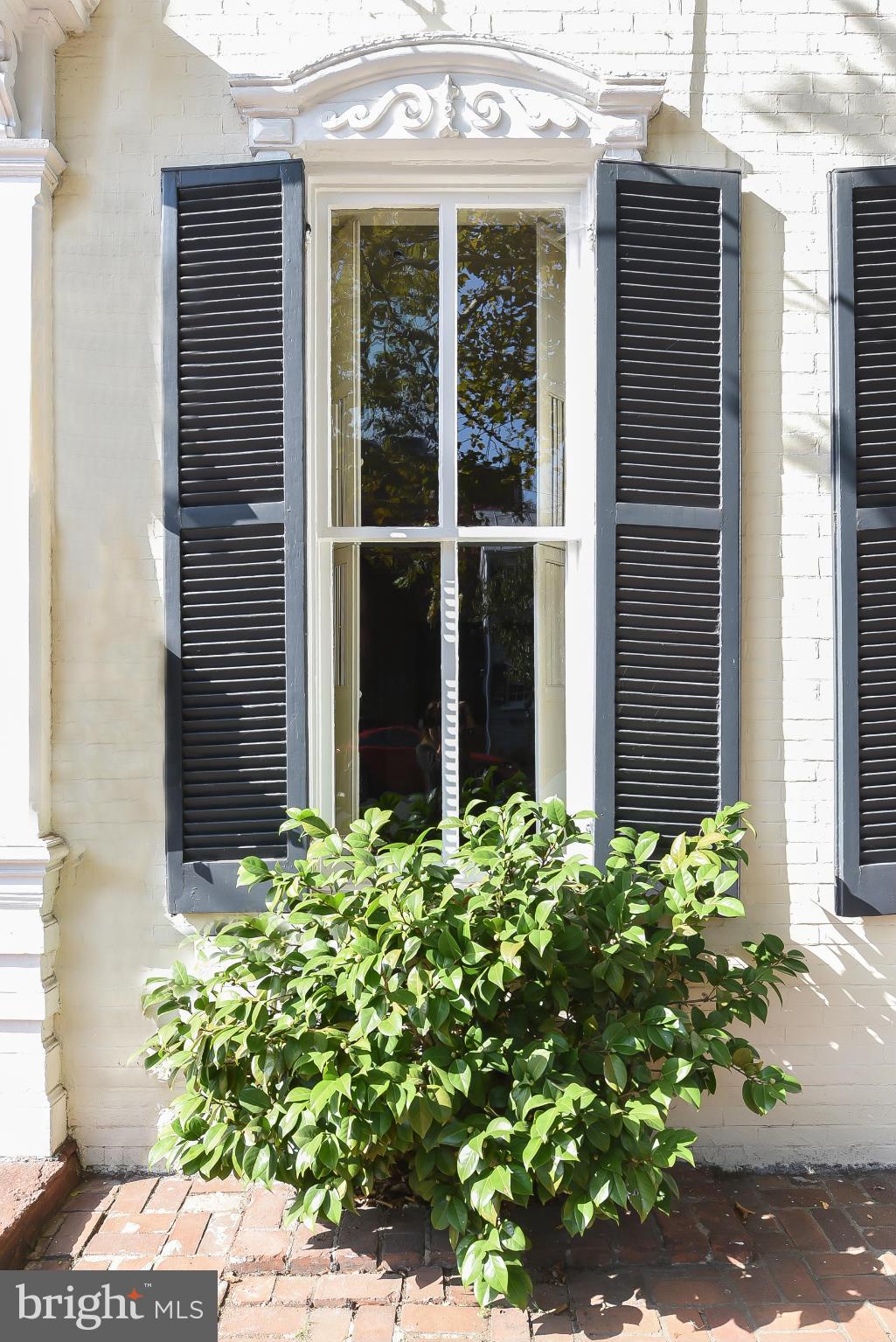 OLD TOWN ALEXANDRIA - Residential