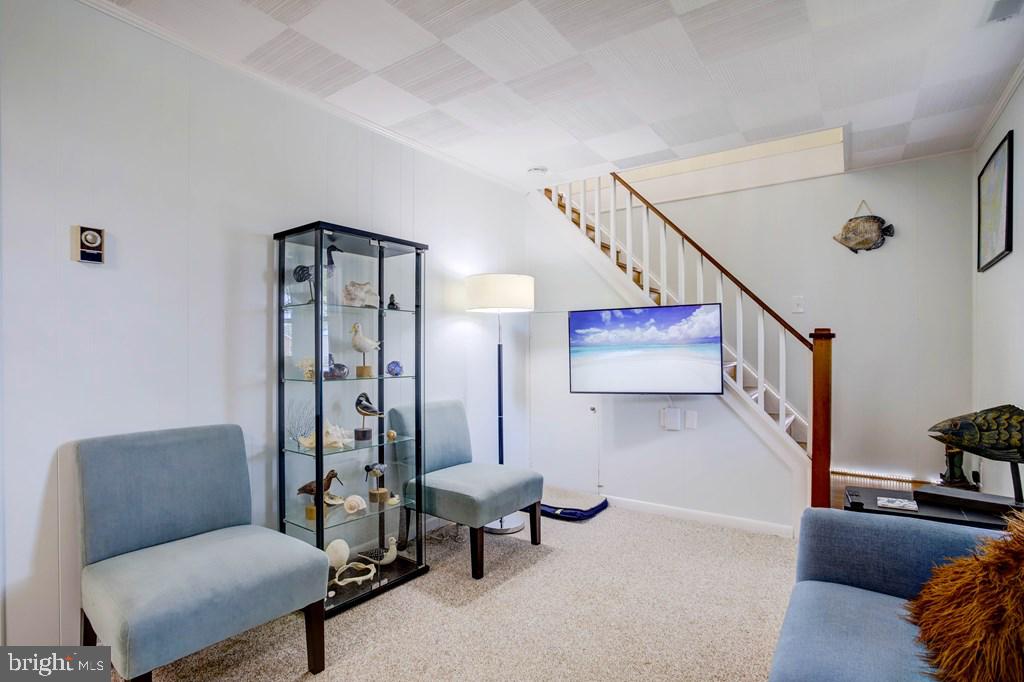 CHINCOTEAGUE - Residential