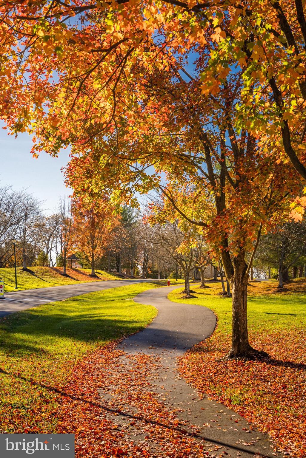 RIVER CREEK - Residential