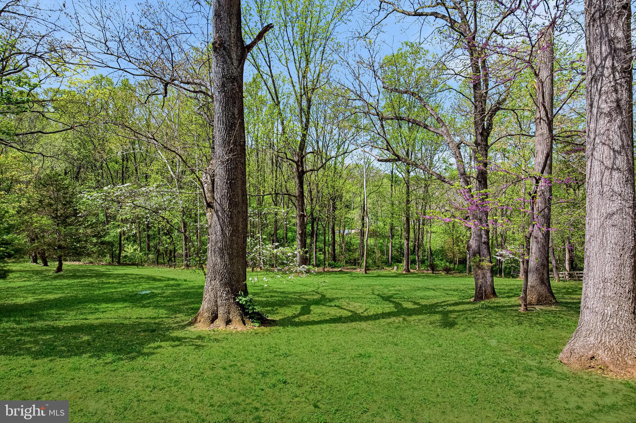 TWINMILL - Residential