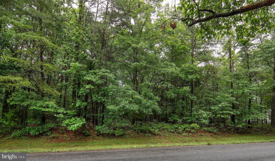 Come and see this wooded lot located in the beautiful seaside community of Captain's Cove. This homesite is just under a quarter of an acre. Built your new home here and start enjoying all that Captain's Cove has to offer. The many amenities include 2 outdoor pools & 1 indoor pool, tennis courts, the community marina & boat ramp, exercise room, the playground & restaurant at the Marina Club. Minutes to the beach! Just a short ride to Ocean City, MD, Chincoteague Island or Assateague Island.