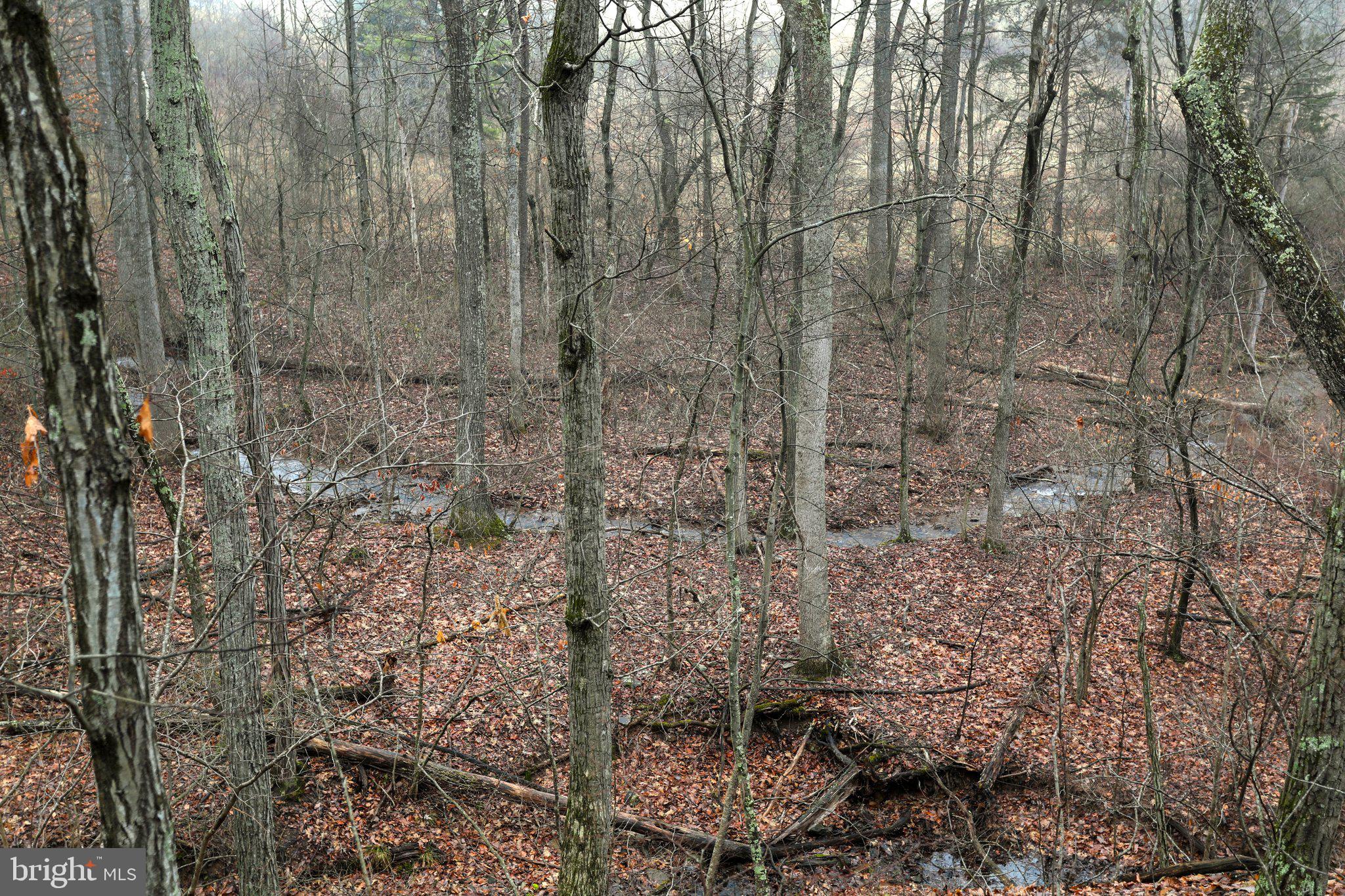 BACK CREEK - Residential