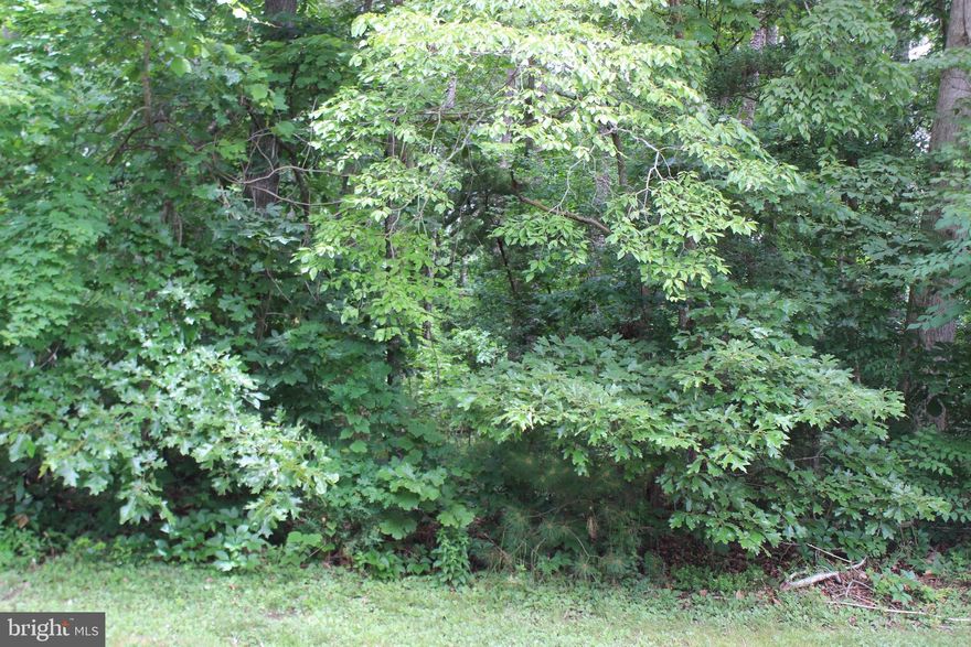 4/2028 Wooded lot with 3BR Cert Letter, Wetland Determination Study & Survey on file. Lot has water availability. This lot is in a highly sought after area of Captains Cove and backs to a Common Area for additional privacy.. It's close to the entrance, while at the same time, just a short distance to all the amenities. Buy now and build later, take advantage of this great buy! No time frame to build and No builder tie-in. Enjoy all the amenities and the lifestyle on the Eastern Shore of VA. Close to Chincoteague Island, Wallops Island and Ocean City MD. HOA Amenities: Pristine 9 Hole Golf Course, indoor/outdoor pools (2), fitness center, basketball. tennis & pickle-ball  courts, boat ramp, docks, playground, walking trails, dog park, security and so much more. Don't miss this one!