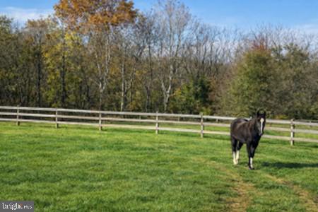 534 CHARMING FORGE ROAD